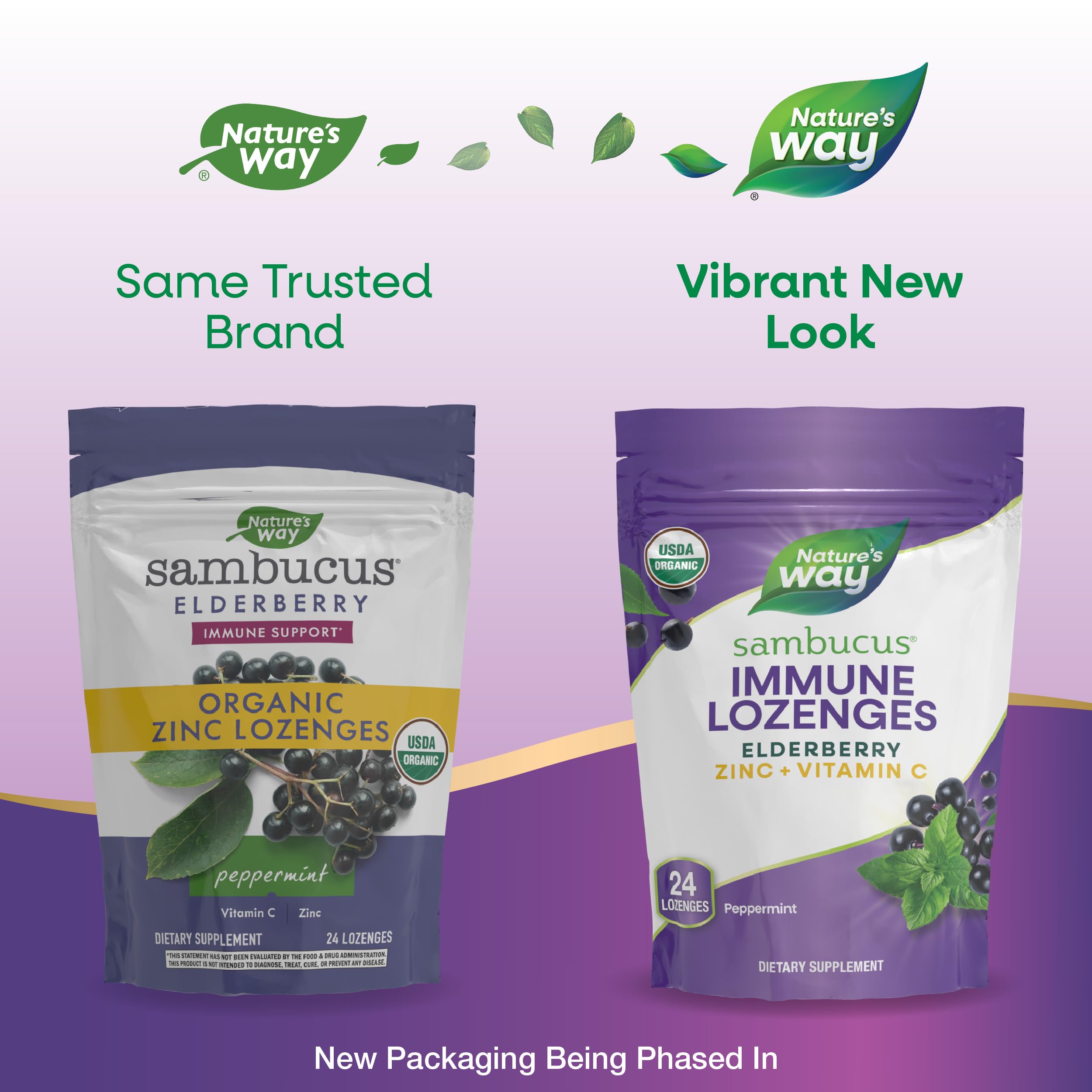 Foto 3 | Pastillas Nature's Way Sambucus Zinc con Saúco y Vitamina C - Venta Internacional