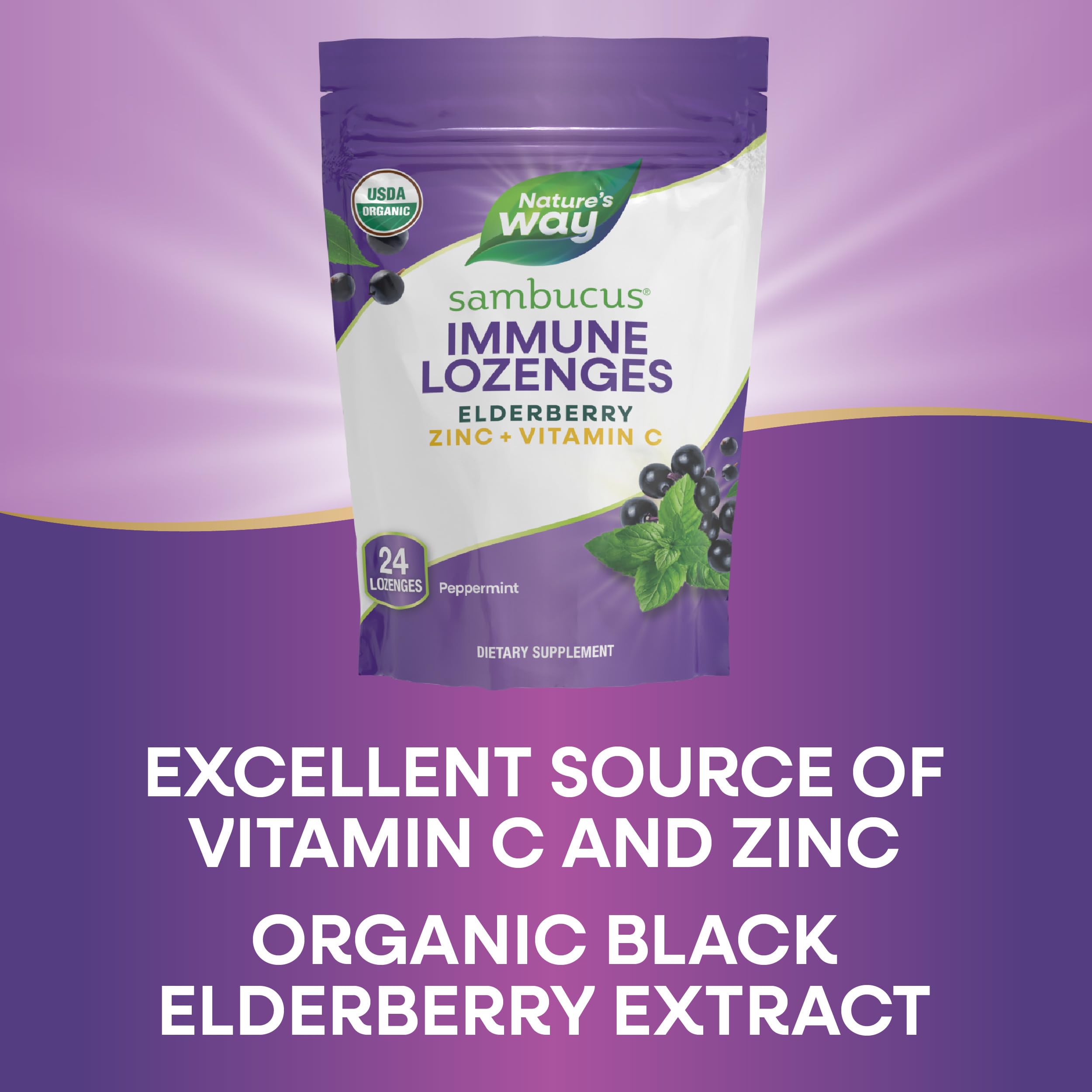 Foto 5 | Pastillas Nature's Way Sambucus Zinc con Saúco y Vitamina C - Venta Internacional