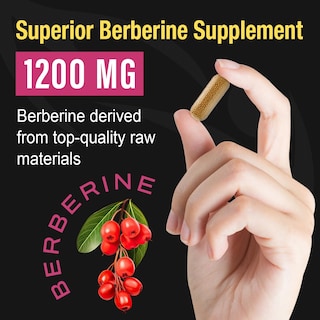 Foto 6 | Suplemento Canarata Berberine Hcl 1200 Mg - Venta Internacional