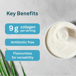 Foto 3 | Suplemento Organika con Colágeno Mejorado 250 G - Venta Internacional