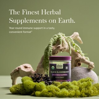 Foto 3 | Suplemento Gaia Herbs, Gomitas De Saúco Negro Para Adultos, 40 G - Venta Internacional.