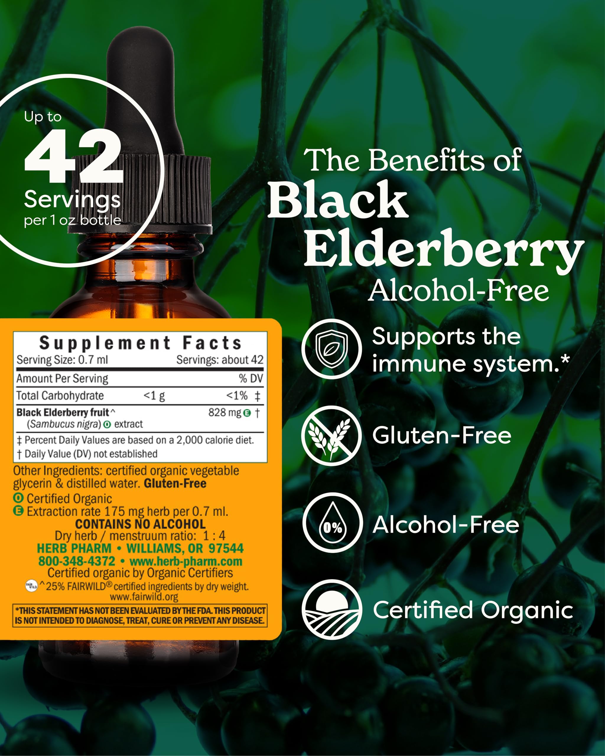 Foto 3 pulgar | Extracto Líquido Herb Pharm Black Elderberry 30 Ml Orgánico - Venta Internacional
