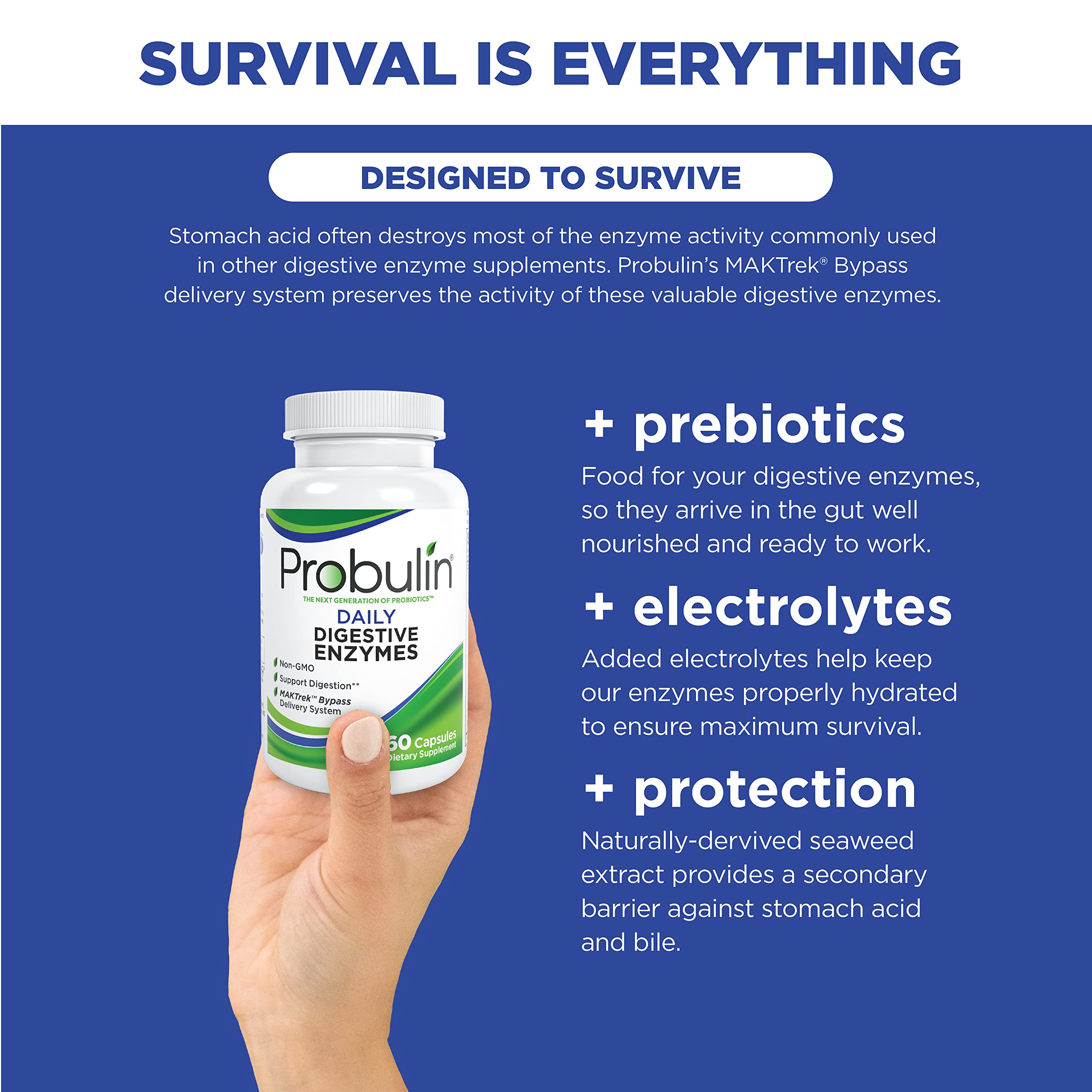 Foto 6 pulgar | Suplemento Probulin Daily Digestive Enzymes 60 Cápsulas - Venta Internacional.