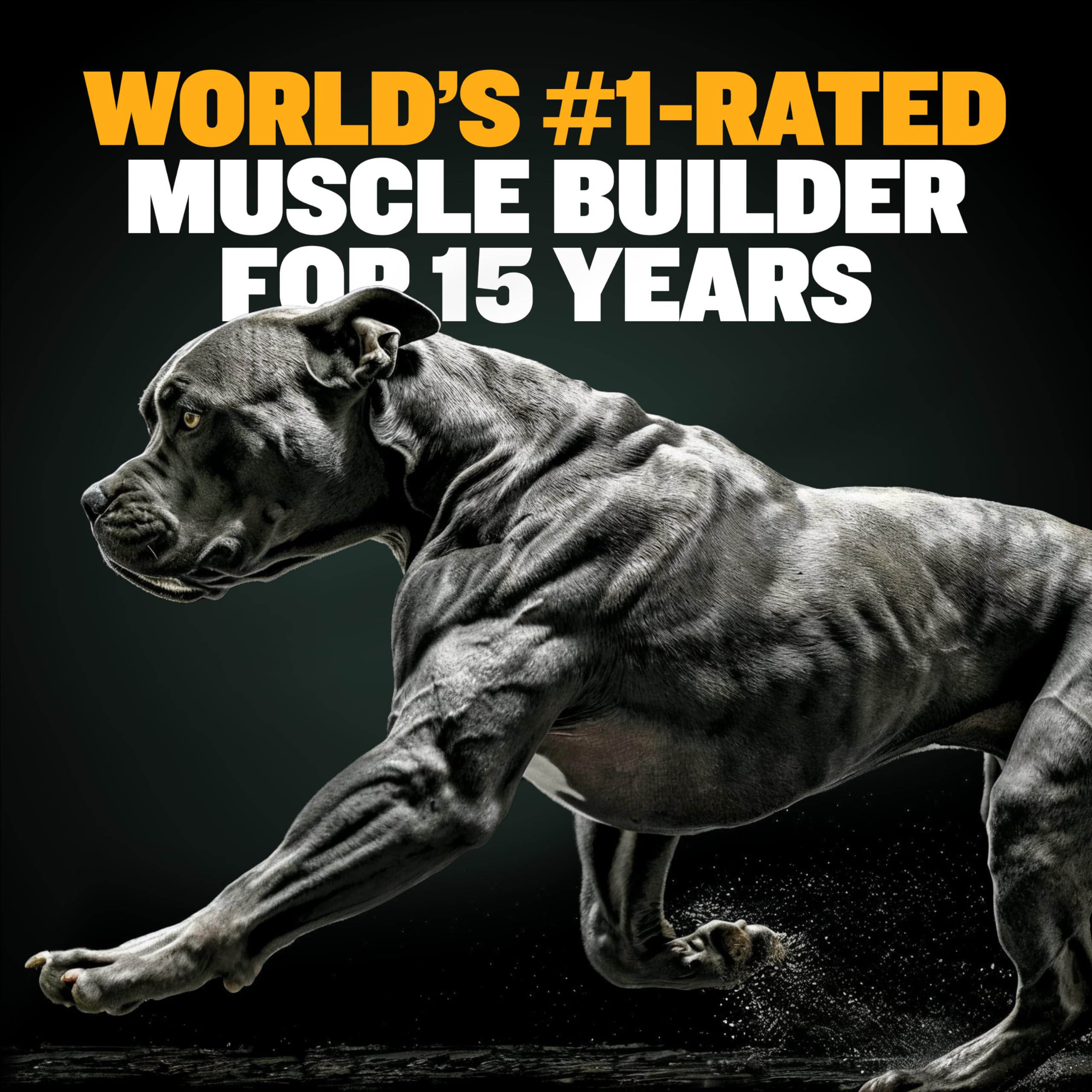 Foto 3 pulgar | Muscle Builder Soft Chews Bully Max Para Perros Y Cachorros, 75 Unidades - Venta Internacional.