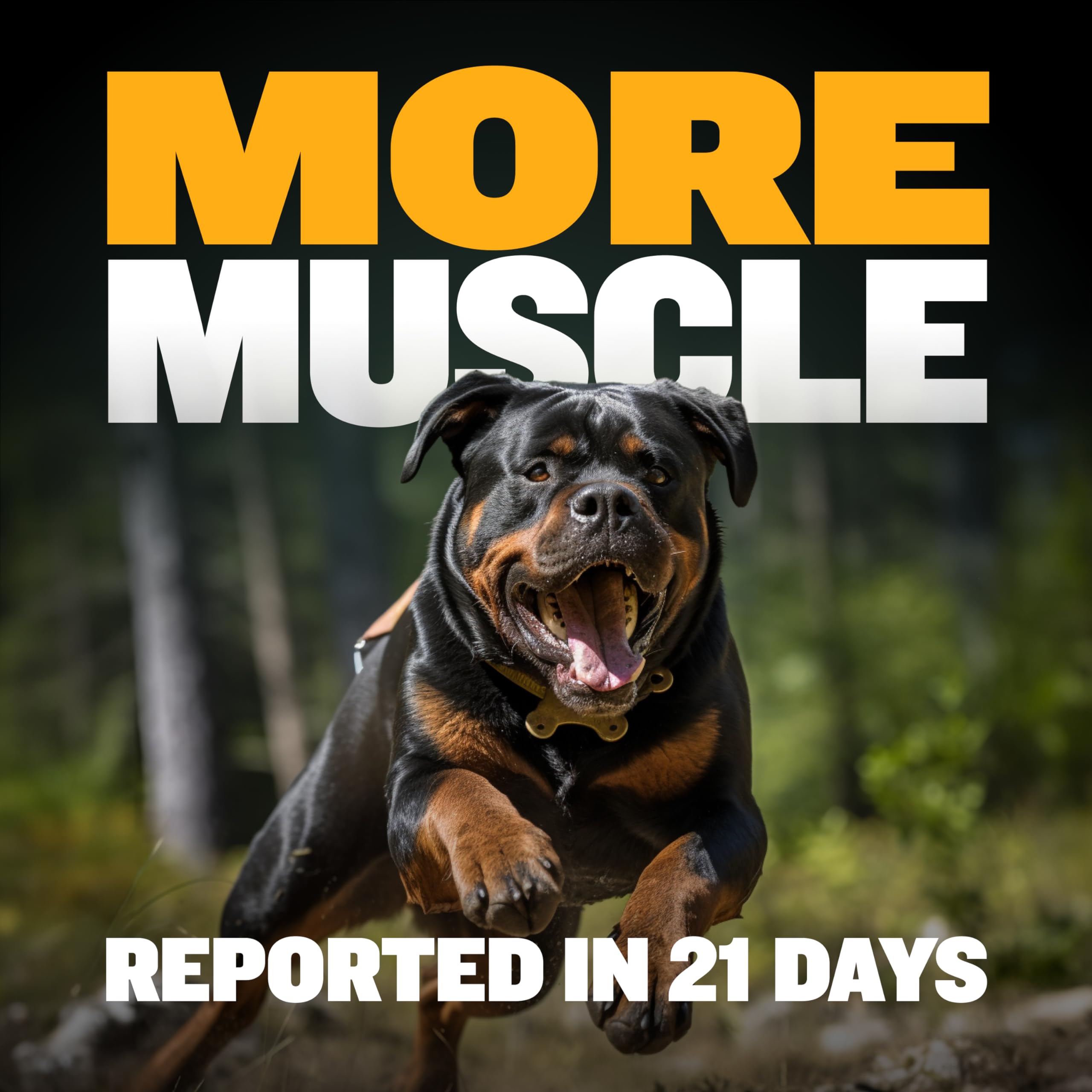 Foto 6 pulgar | Muscle Builder Soft Chews Bully Max Para Perros Y Cachorros, 75 Unidades - Venta Internacional.