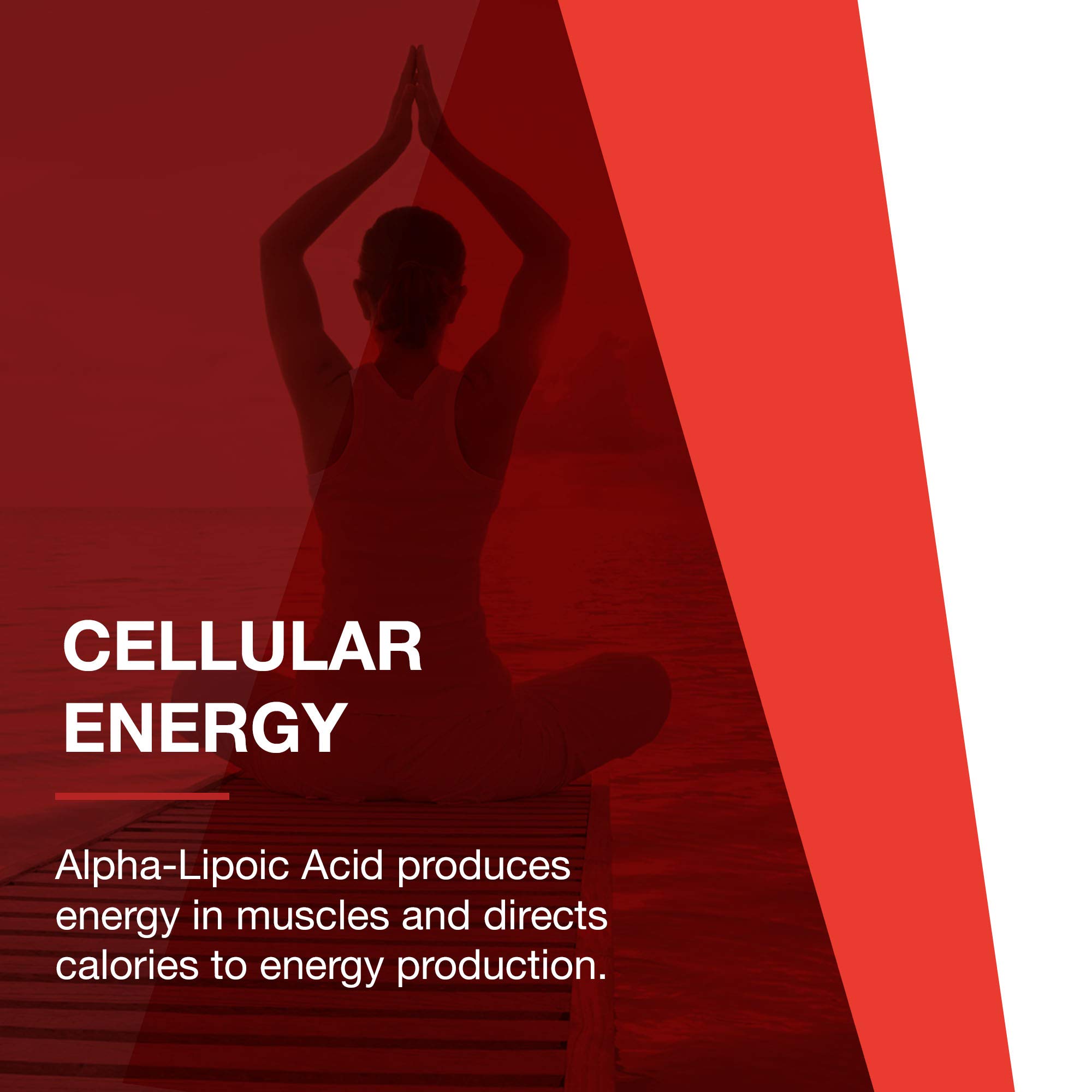 Foto 6 pulgar | Protocolo De Suplementos De Ácido Alfa Lipoico 250 Mg De Ala 90 Cápsulas - Venta Internacional.
