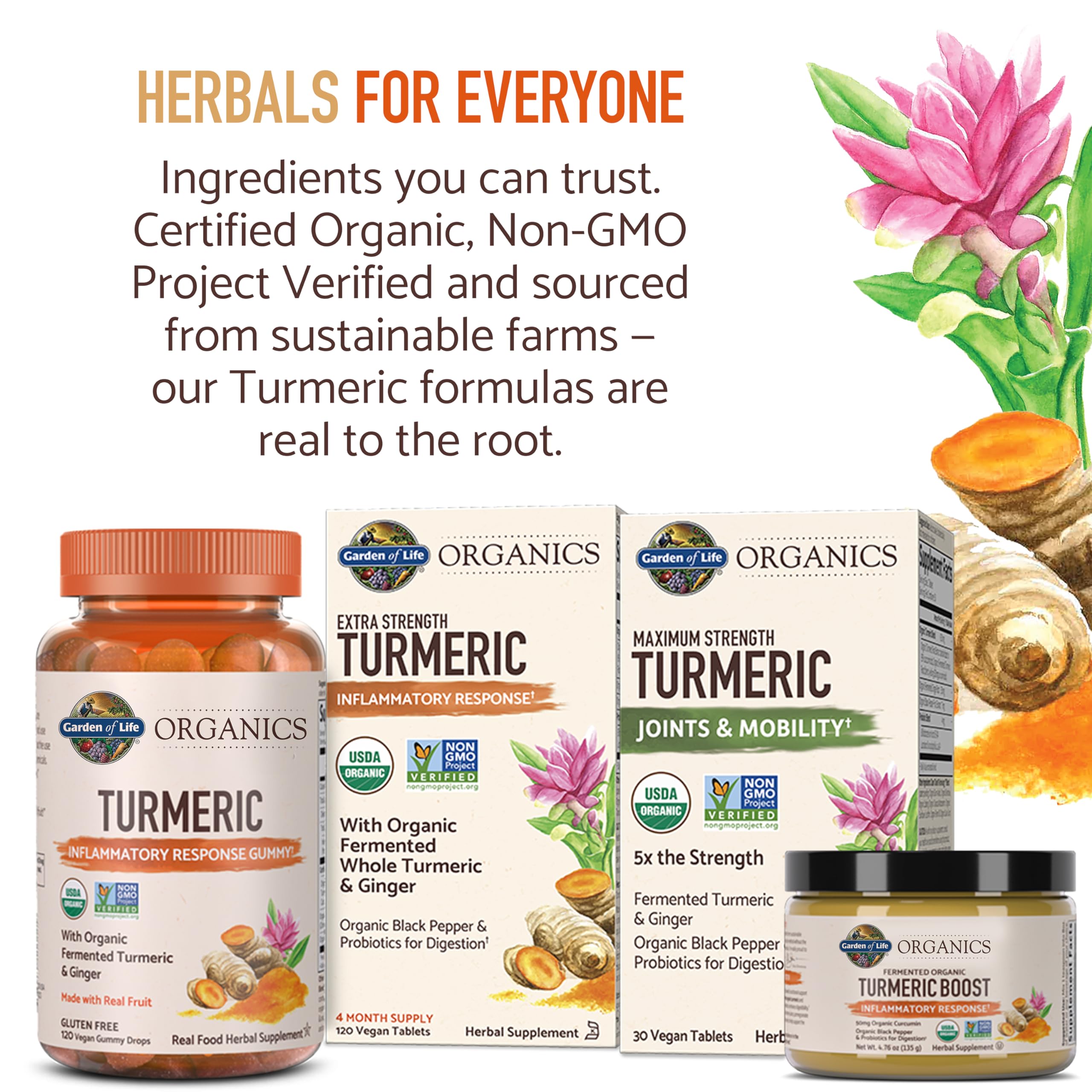 Foto 7 | Suplemento Garden Of Life Organics De Cúrcuma 120 Comprimidos - Venta Internacional.