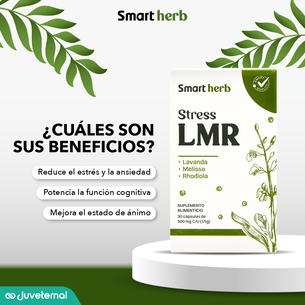 Foto 6 pulgar | Smart Herb Paquete Stress Lmr, Suplemento Alimenticio, 2 Piezas (30 Cápsulas C/u) Con Lavanda, Melissa Y Rhodiola