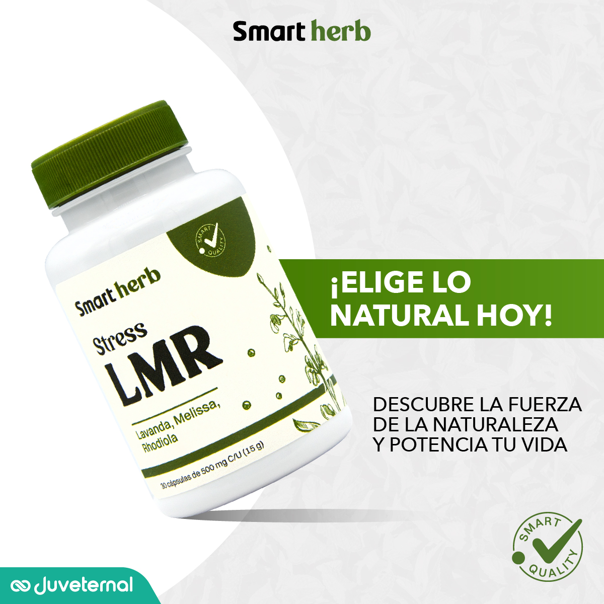Foto 7 pulgar | Smart Herb Paquete Stress Lmr, Suplemento Alimenticio, 2 Piezas (30 Cápsulas C/u) Con Lavanda, Melissa Y Rhodiola
