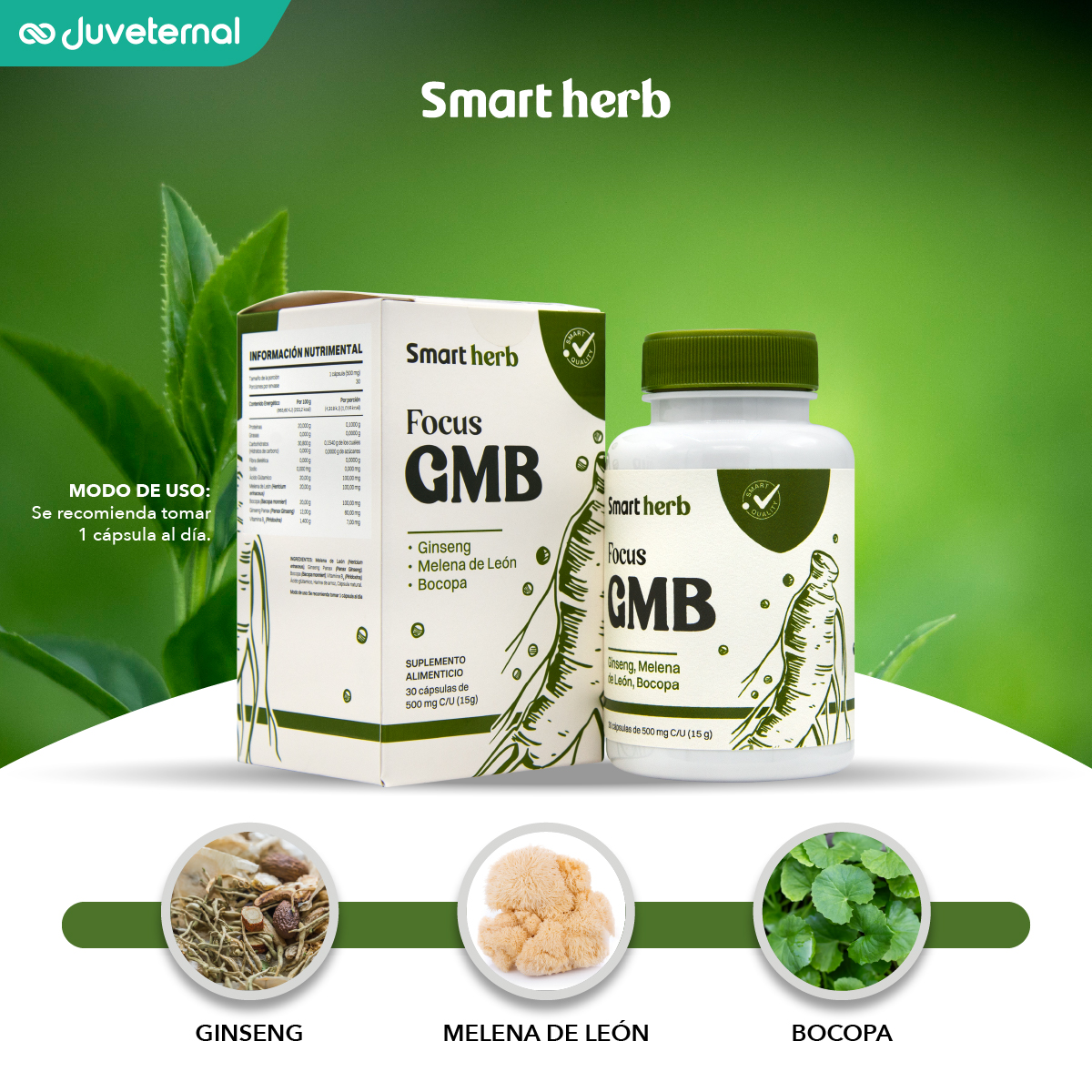 Foto 3 pulgar | Suplemento Alimenticio Smart Herb Paquete Focus GMB 2 Piezas 30 Cápsulas c/u con Ginseng Melena de León y Bocopa