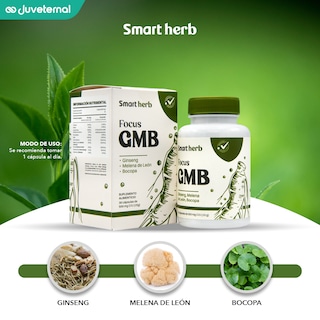 Foto 2 | Suplemento Alimenticio Smart Herb Paquete Focus GMB 2 Piezas 30 Cápsulas c/u con Ginseng Melena de León y Bocopa