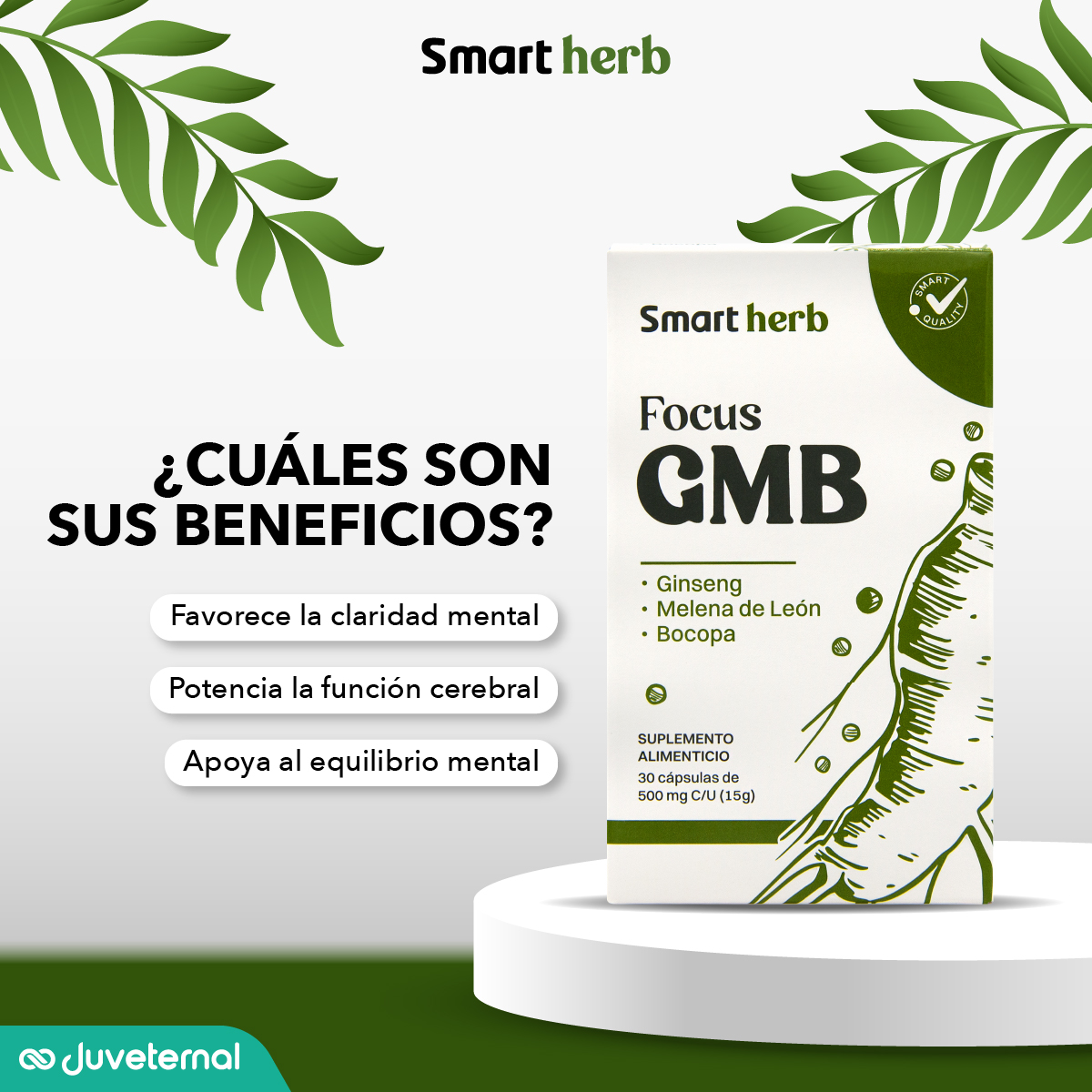 Foto 6 pulgar | Suplemento Alimenticio Smart Herb Paquete Focus GMB 2 Piezas 30 Cápsulas c/u con Ginseng Melena de León y Bocopa
