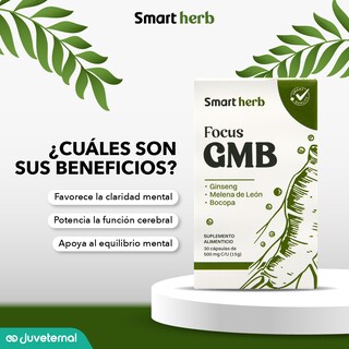 Foto 5 | Suplemento Alimenticio Smart Herb Paquete Focus GMB 2 Piezas 30 Cápsulas c/u con Ginseng Melena de León y Bocopa