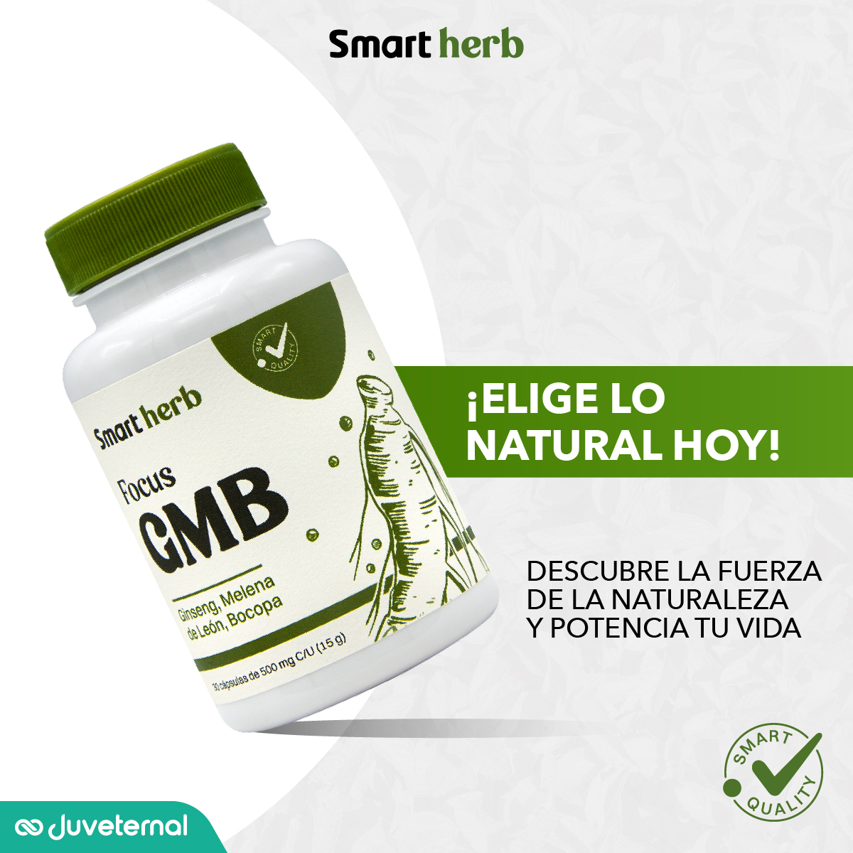 Foto 7 pulgar | Suplemento Alimenticio Smart Herb Paquete Focus GMB 2 Piezas 30 Cápsulas c/u con Ginseng Melena de León y Bocopa