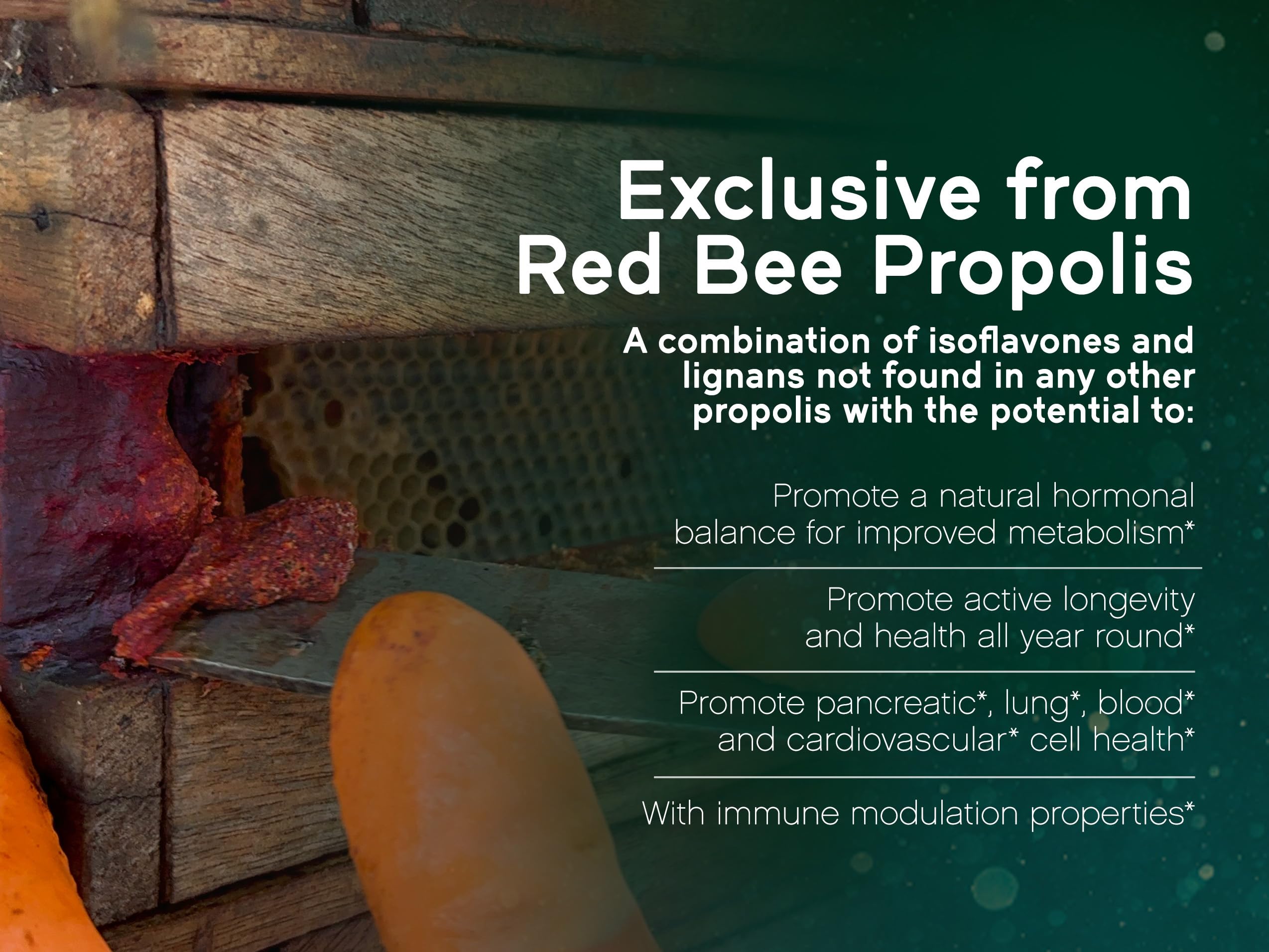 Foto 5 pulgar | Suplementos Naturanectar Red Bee Propolis 60 Cápsulas - Venta Internacional
