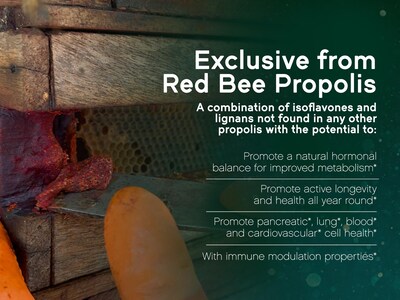 Foto 4 | Suplementos Naturanectar Red Bee Propolis 60 Cápsulas - Venta Internacional