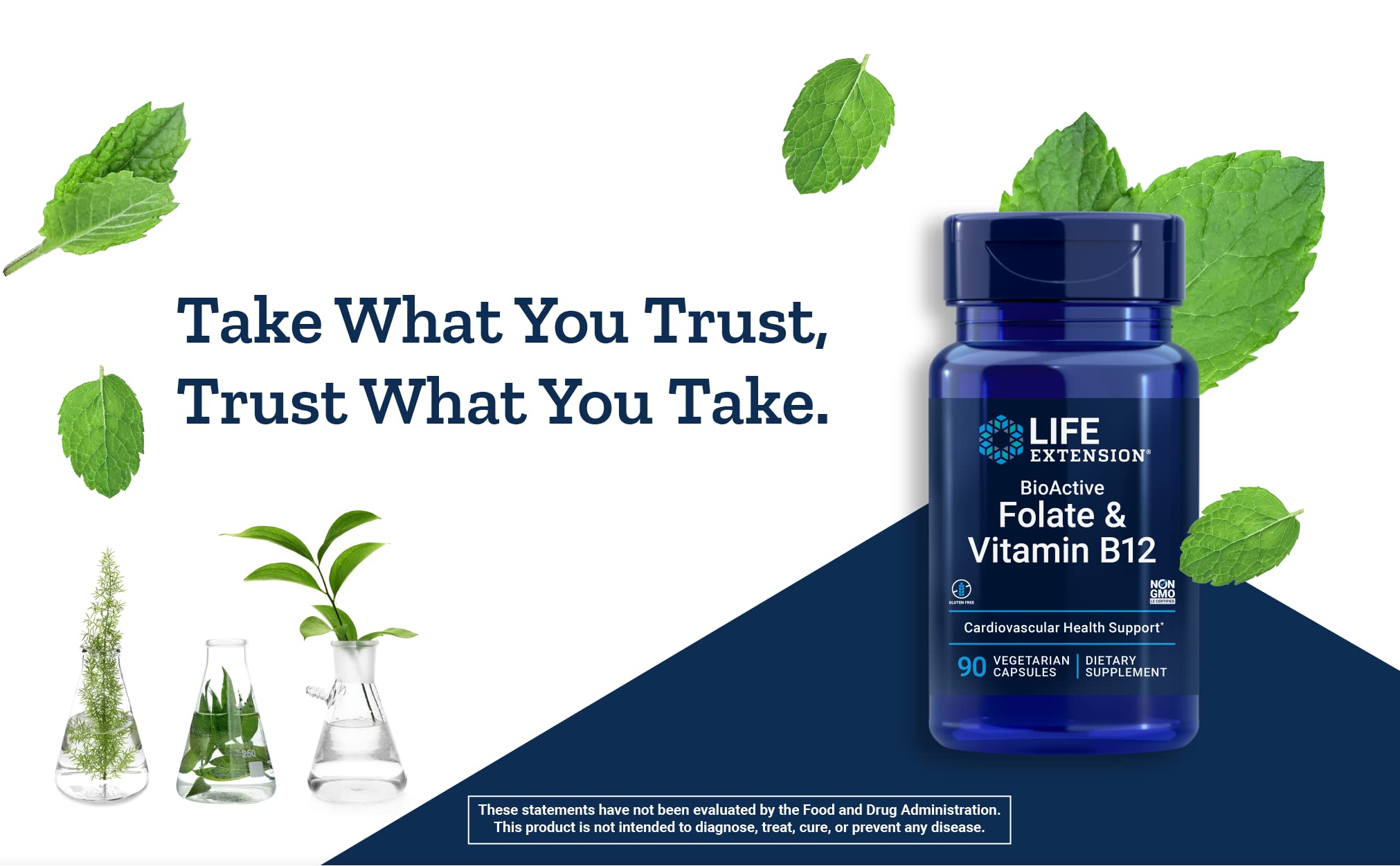 Foto 6 | Suplemento Life Extension Bioactive de Folato y Vitamina B12 150 Cápsulas - Venta Internacional