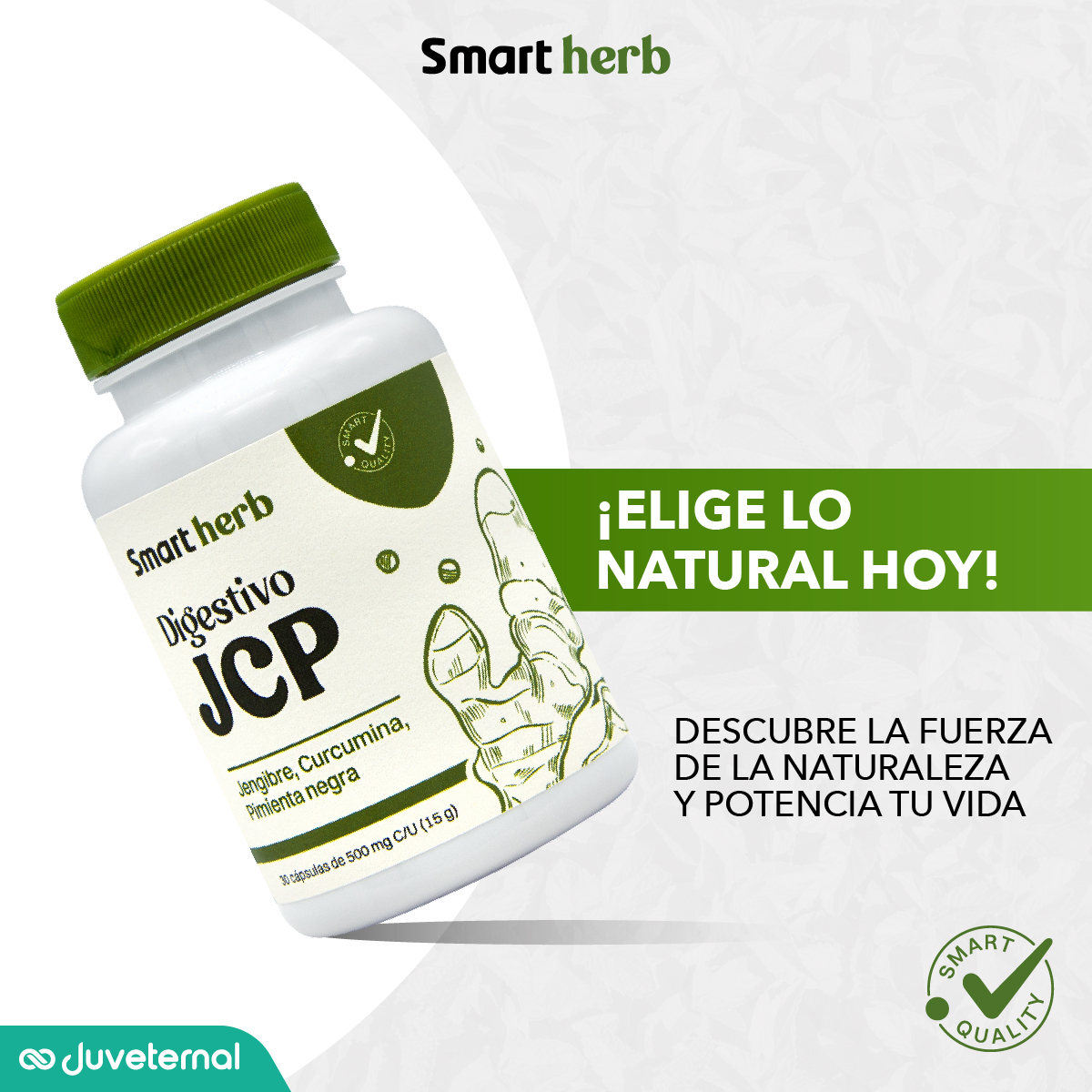 Foto 7 pulgar | Smart Herb Paquete Digestivo Jcp, Suplemento Alimenticio, 2 Piezas (30 Cápsulas C/u) Con Jengibre, Curcumina Y Pim