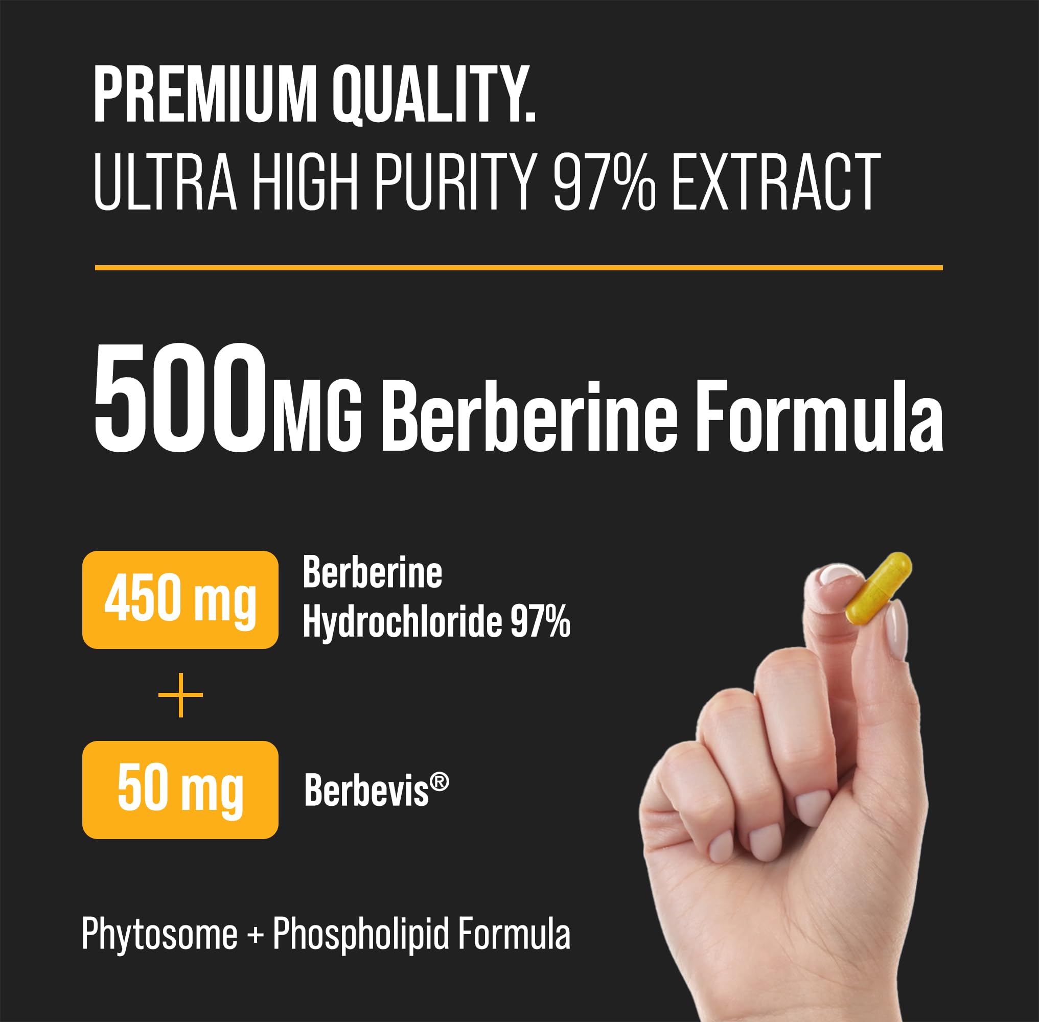 Foto 3 pulgar | Suplemento Nutrachamps Berberine Hcl 97% de Pureza 500 mg 90 Cápsulas - Venta Internacional