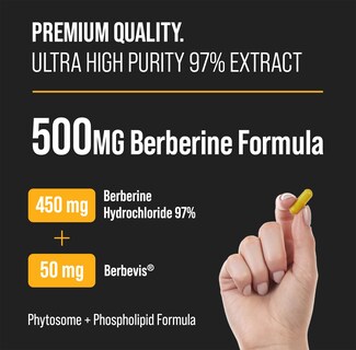 Foto 2 | Suplemento Nutrachamps Berberine Hcl 97% de Pureza 500 mg 90 Cápsulas - Venta Internacional