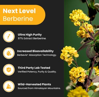 Foto 3 | Suplemento Nutrachamps Berberine Hcl 97% de Pureza 500 mg 90 Cápsulas - Venta Internacional
