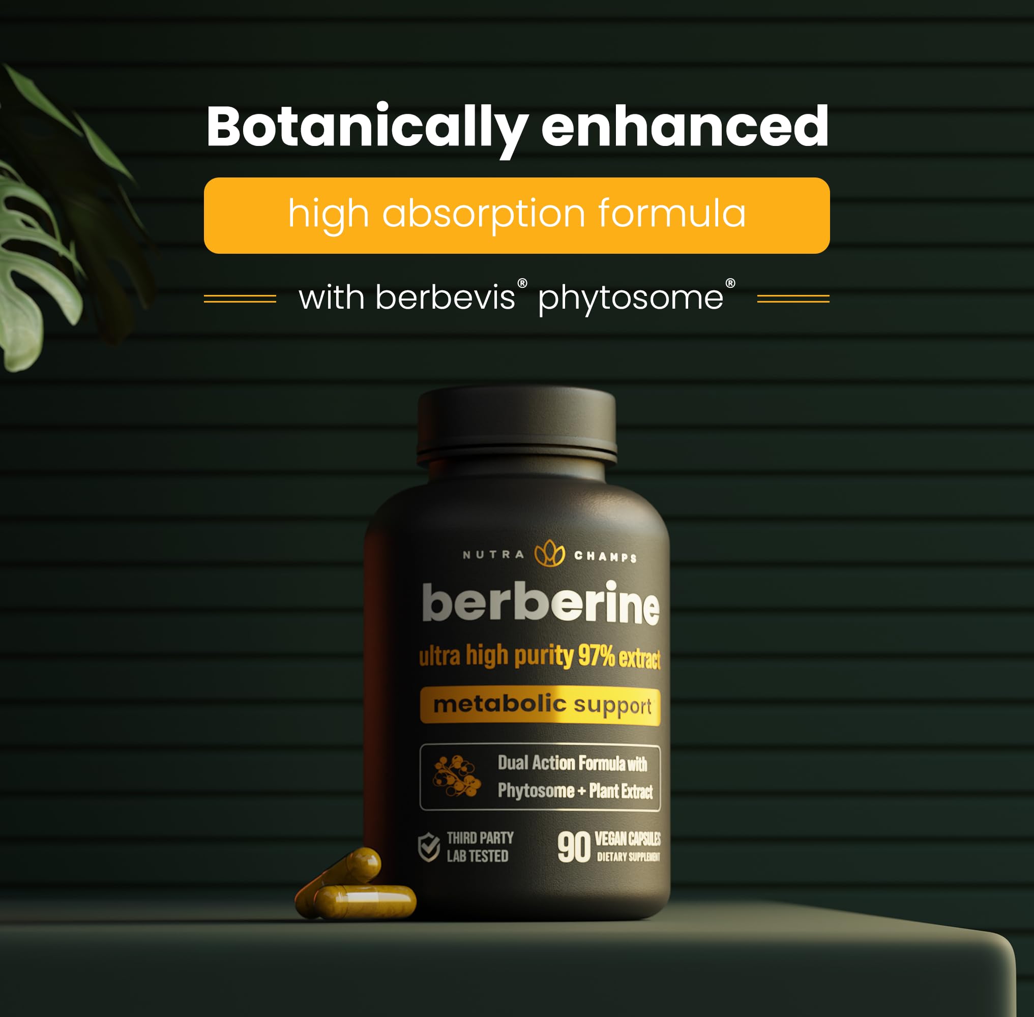 Foto 4 | Suplemento Nutrachamps Berberine Hcl 97% de Pureza 500 mg 90 Cápsulas - Venta Internacional