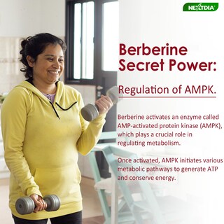 Foto 4 | Suplemento Nextdia Berberine 1500 mg con Gomitas de Canelade Ceilán - Venta Internacional