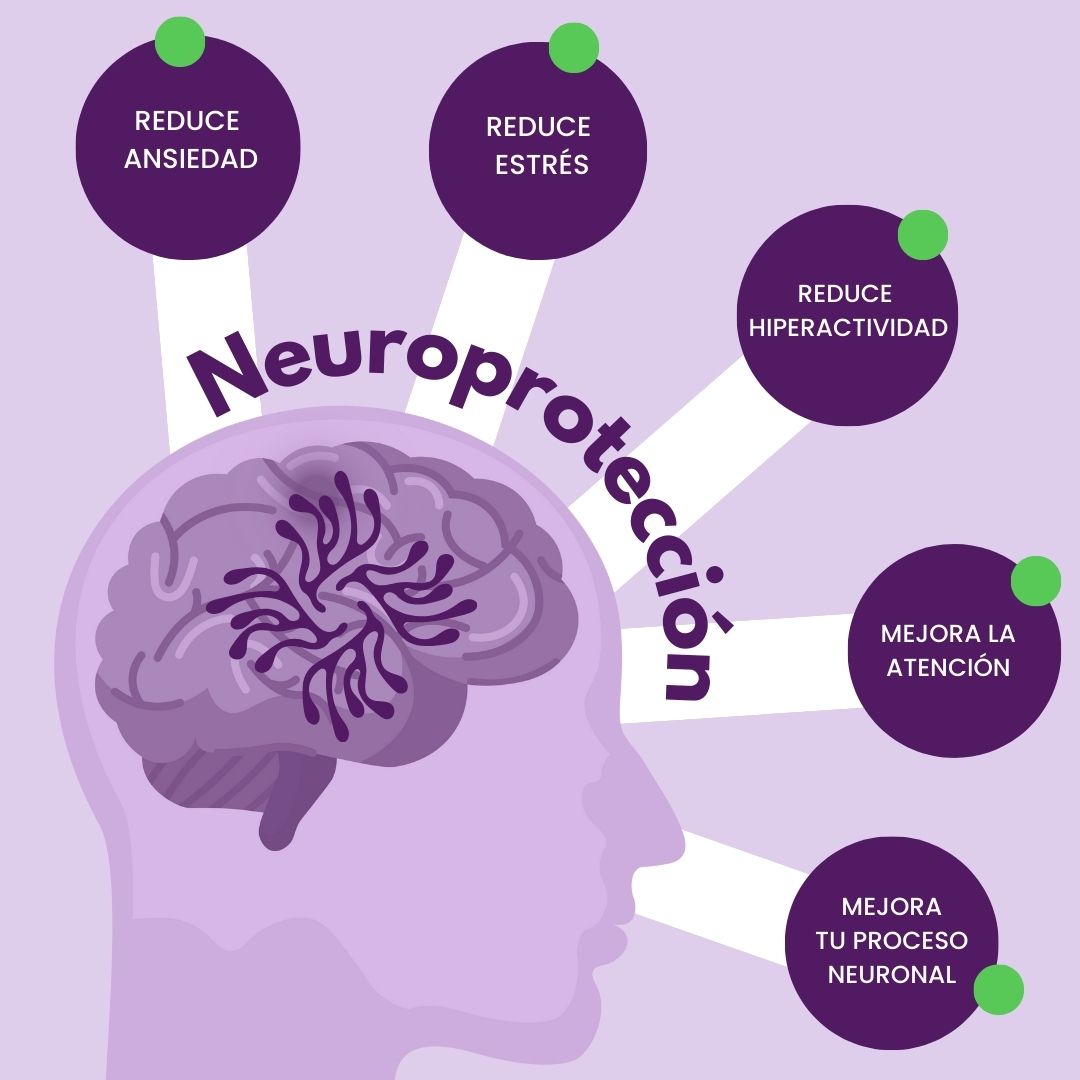 Foto 7 | Tenkan Bro Neurobienestar Con Gaba, Omega 3, Complejo B, 3 Tipos De Magnesio Y Pasiflora