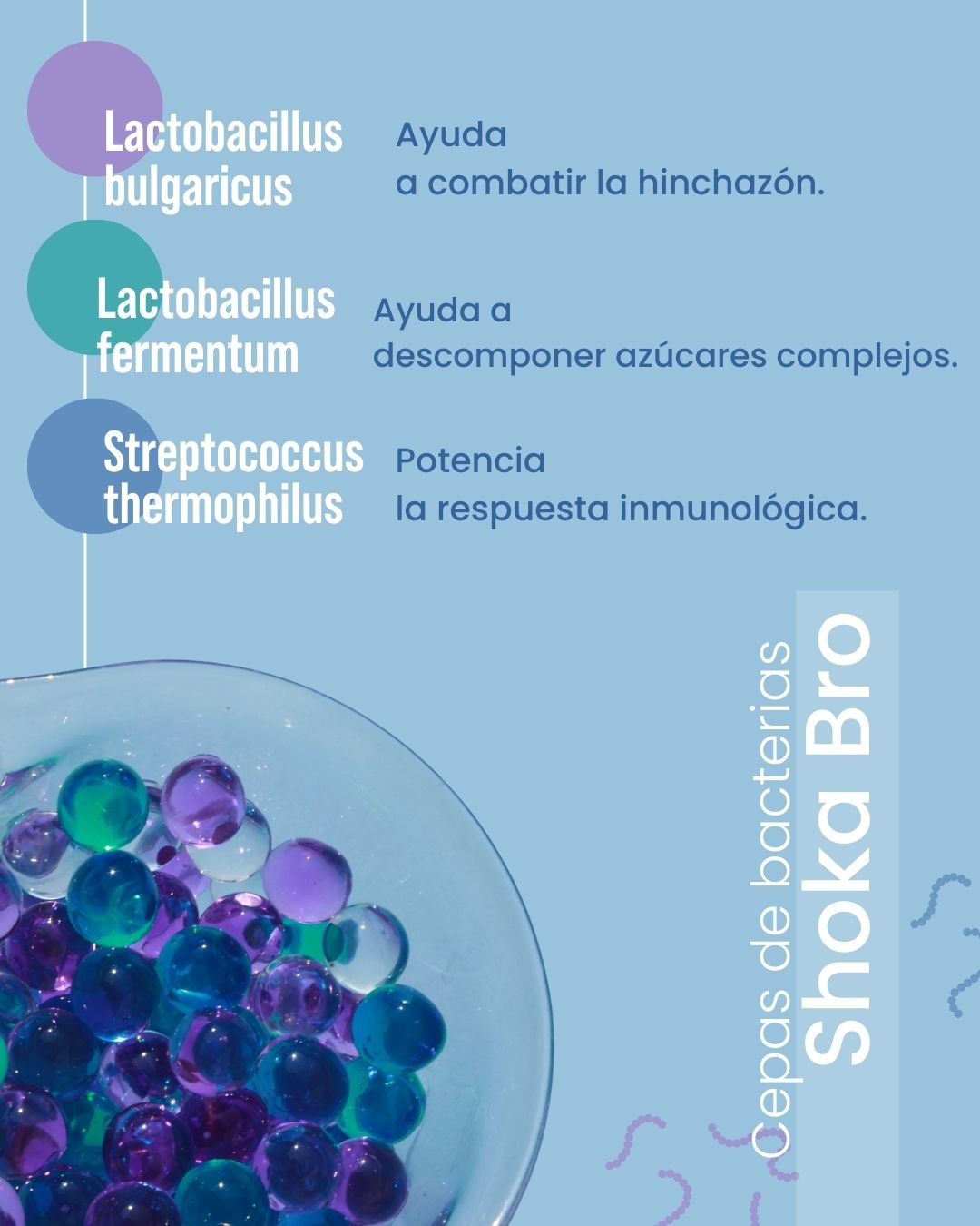 Foto 6 | Shoka Bro Con 7 Sepas De Probióticos+Prebióticos (inulina De Agave)+Enzimas Digestivas+Carbon Activado+2.5 Billones