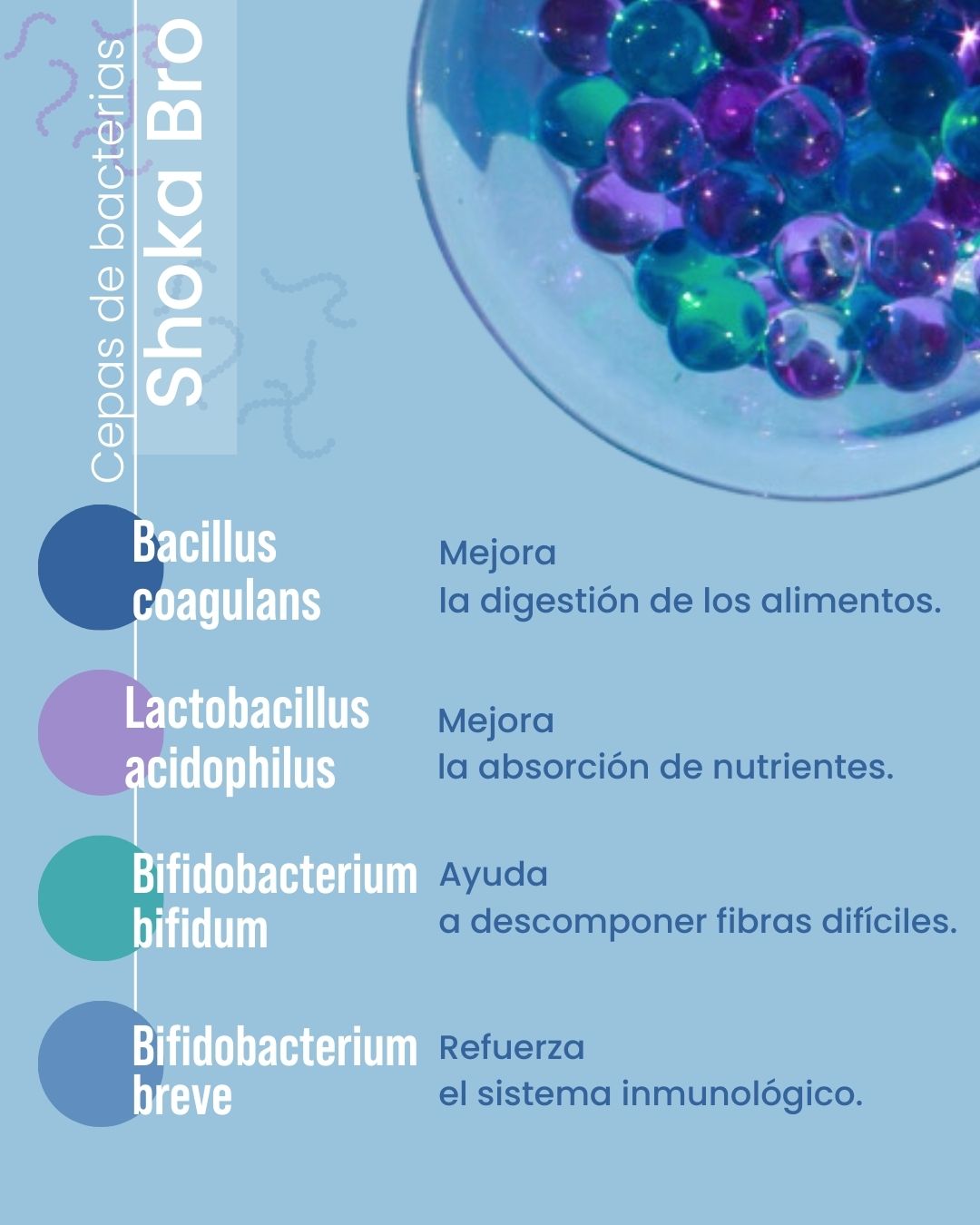 Foto 7 | Shoka Bro Con 7 Sepas De Probióticos+Prebióticos (inulina De Agave)+Enzimas Digestivas+Carbon Activado+2.5 Billones