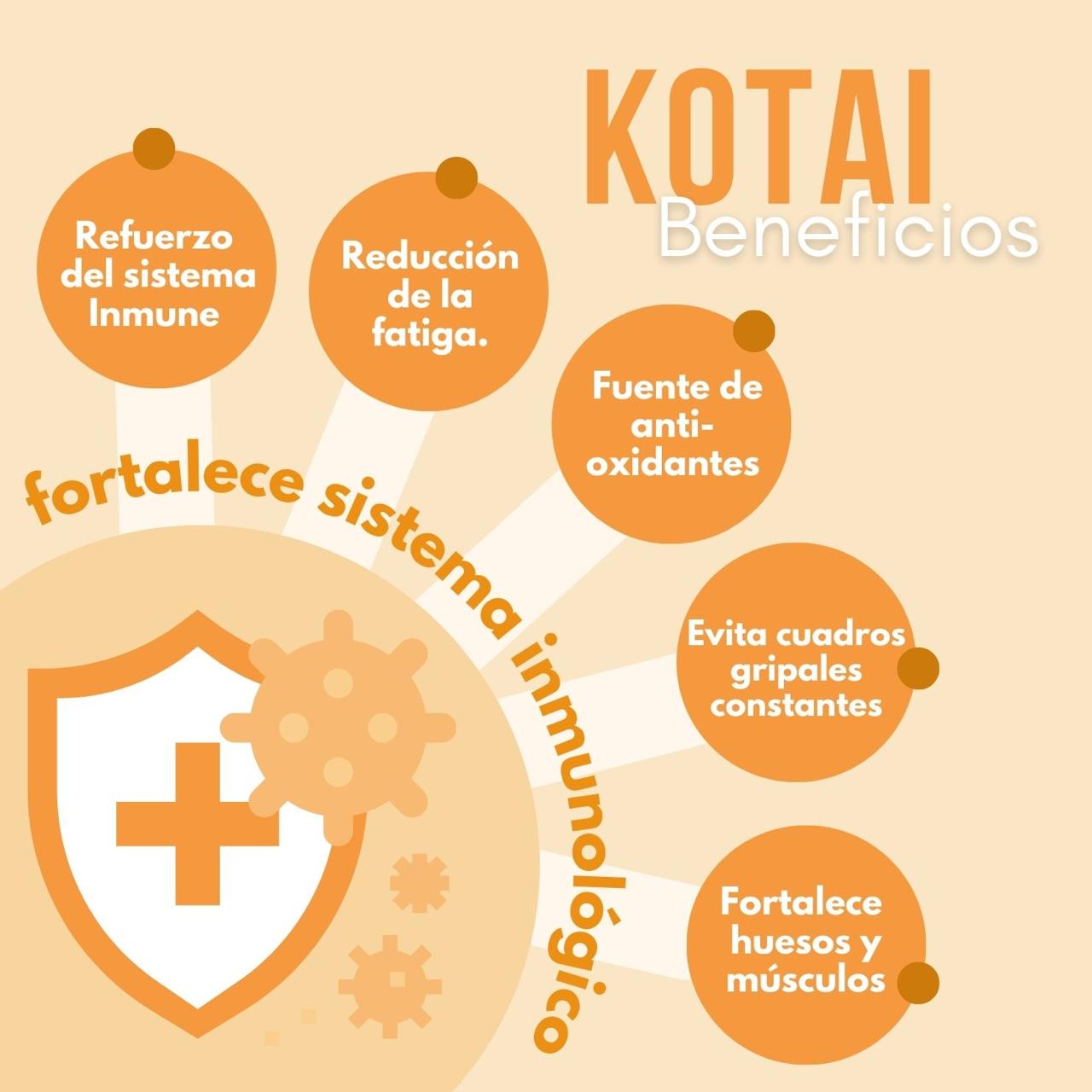 Foto 8 pulgar | Kotai Bro Eiyo Bros Cápsulas Con Cúrcuma+Jengibre+Camu-camu+Vitaminas (c,d,a) (sistema Inmune Y Antioxidante)