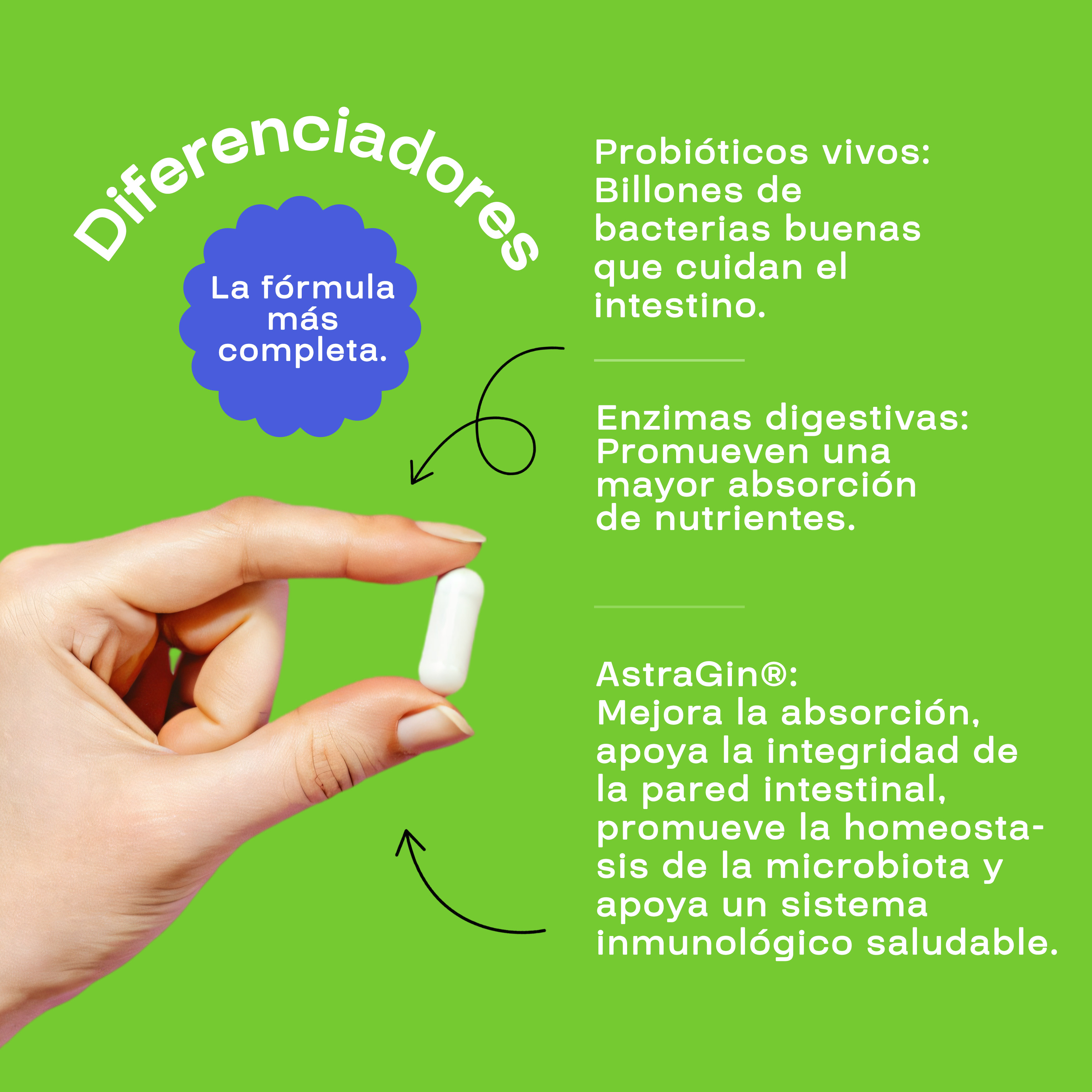 Foto 5 pulgar | Suplemento Alimenticio Probioticos + Enzimas Amarte Labs 60 Cápsulas