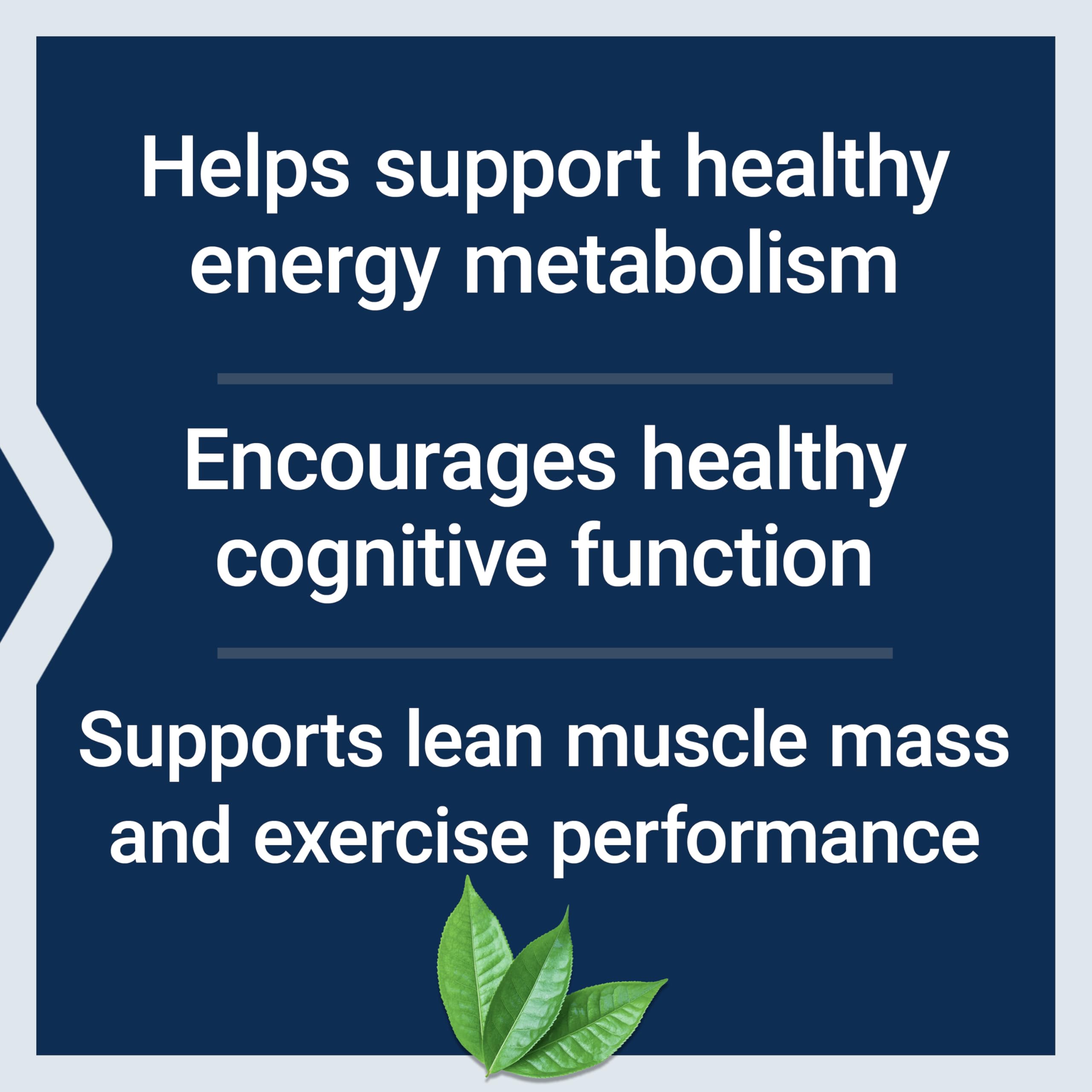 Foto 4 pulgar | Supplement Life Extension Creatina Acetil-l-carnitina Energy - Venta Internacional.