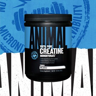 Foto 4 | Suplemento Animal De Creatina Micronizada de 300 g-Venta Internacional