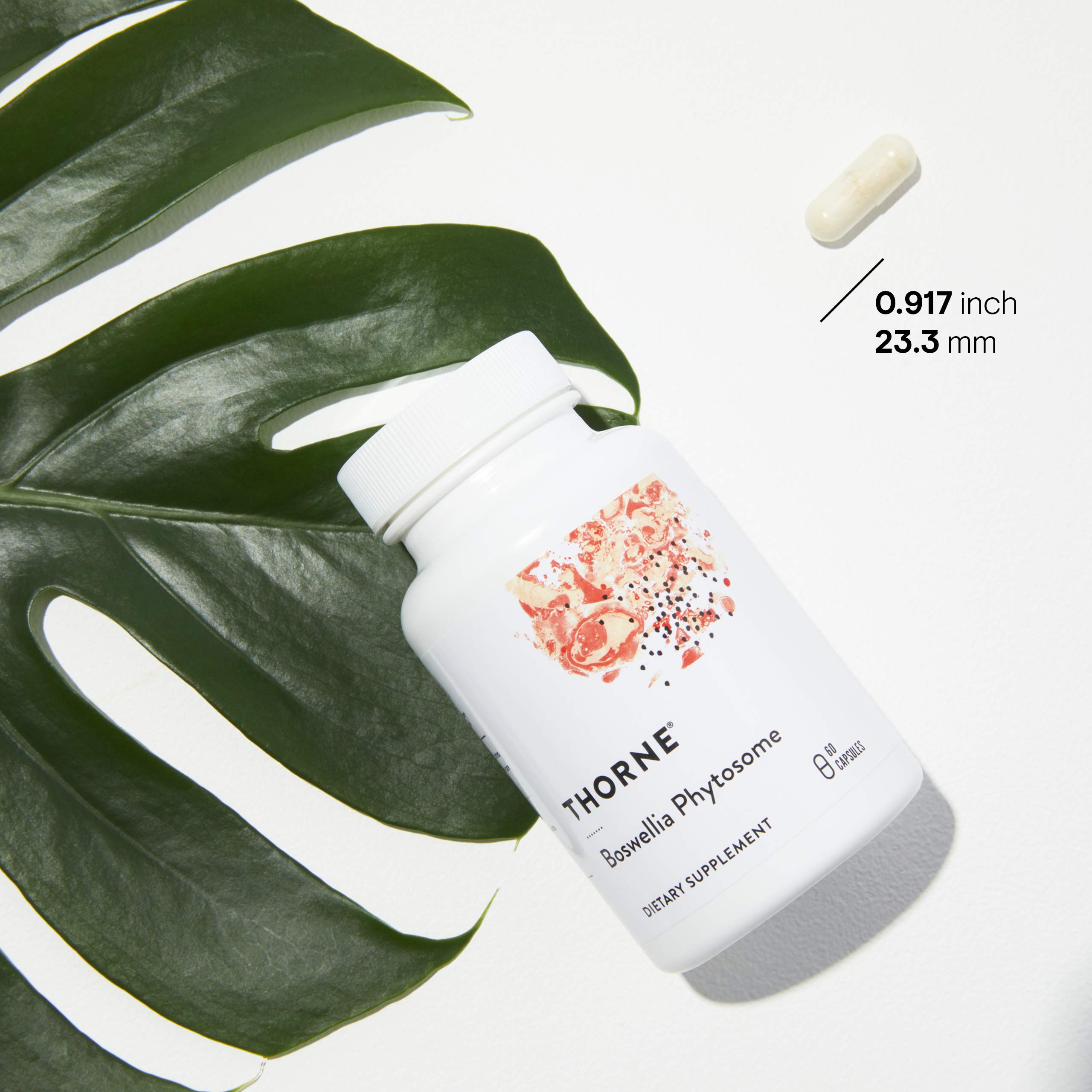 Foto 4 pulgar | Suplemento Thorne Boswellia Phytosome Incienso Indio 60 Cápsulas - Venta Internacional