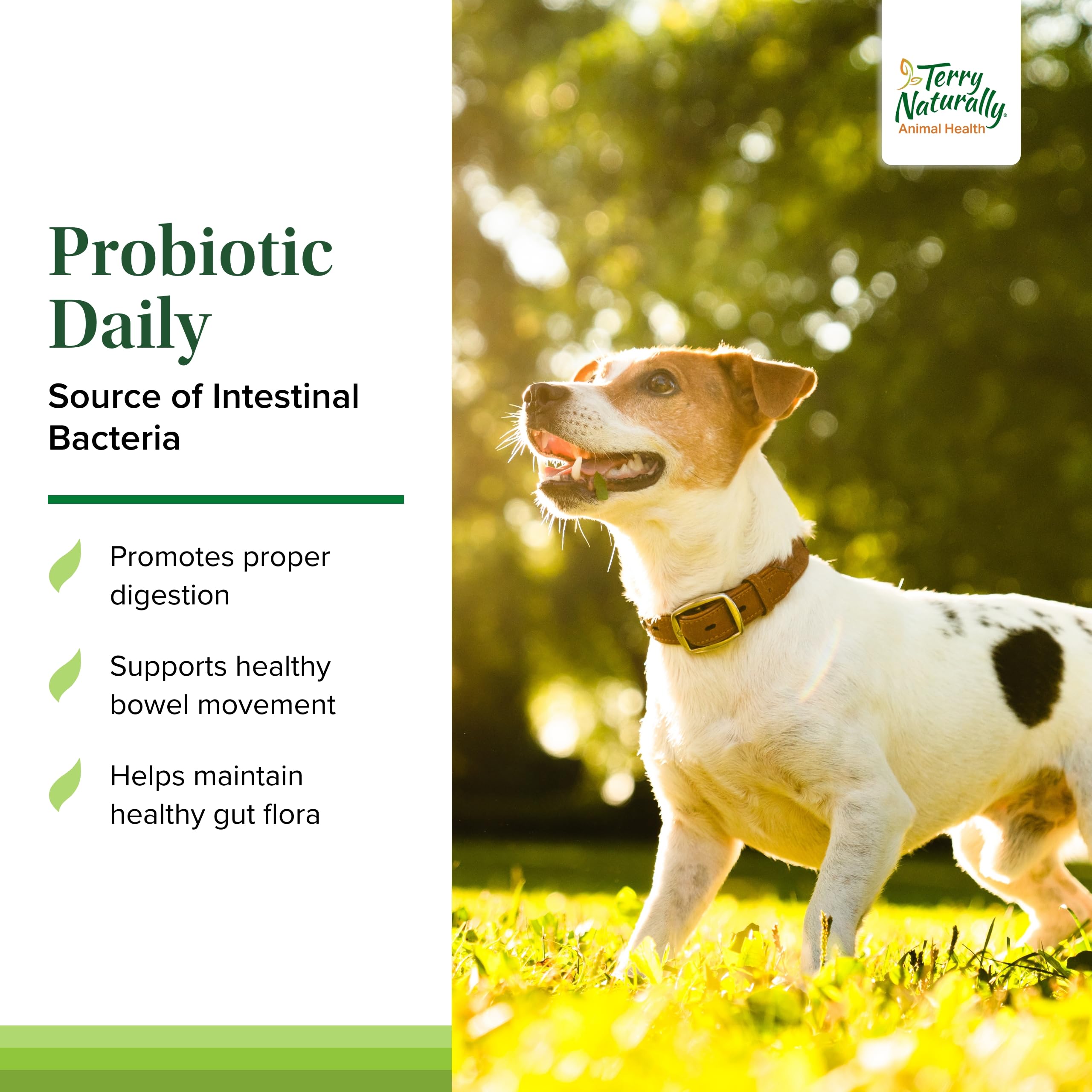 Foto 4 pulgar | Probiotic Terry Naturally Animal Health, 60 Comprimidos Diarios - Venta Internacional.