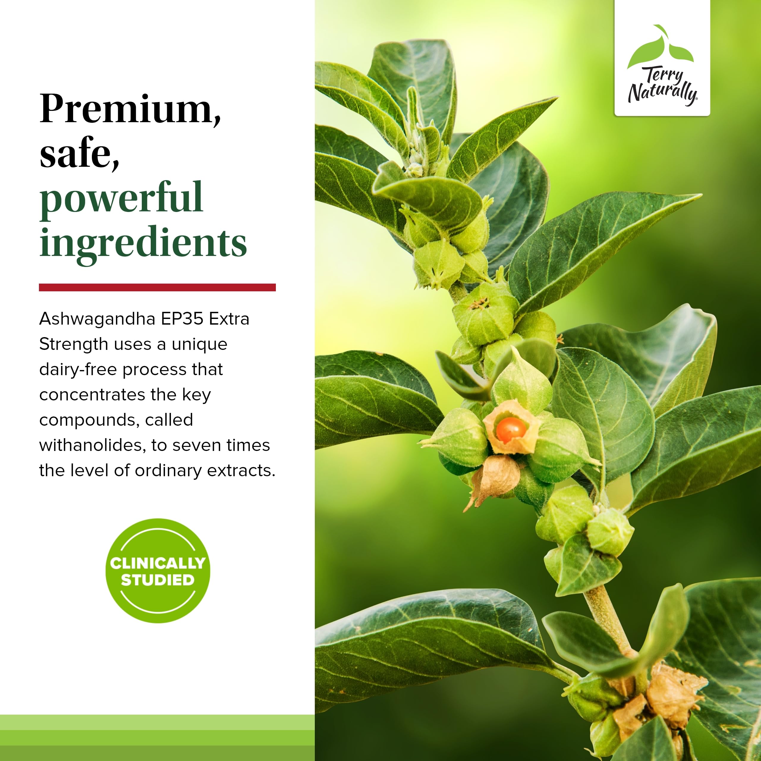 Foto 5 | Suplemento Terry Naturally Ashwagandha Ep35 Extra Strength - Venta Internacional.