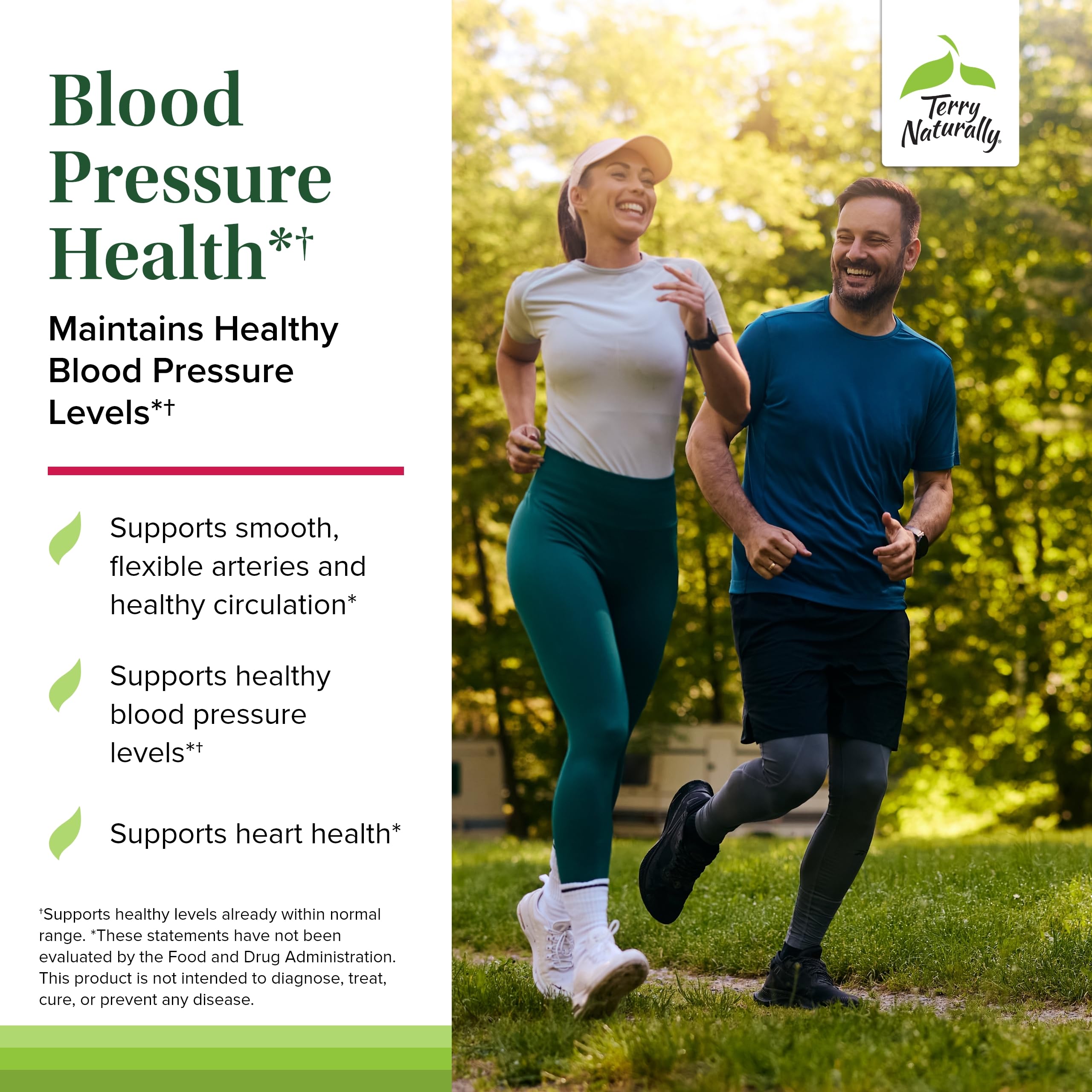 Foto 4 pulgar | Suplemento Terry Naturally Blood Pressure Health 60 Cápsulas - Venta Internacional.