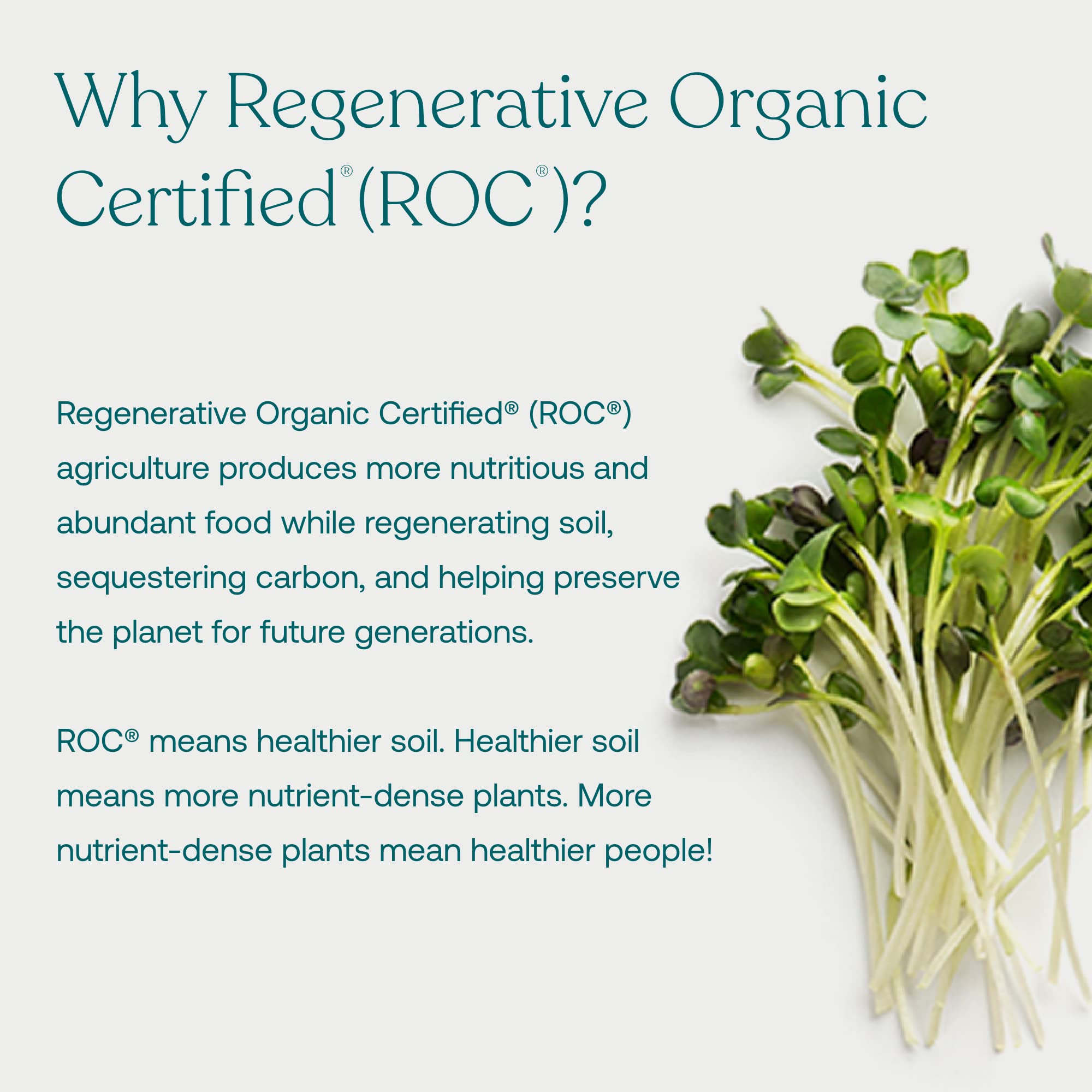 Foto 7 pulgar | Superalimento En Polvo True Grace Broccoli Microgreens, 11 Ml - Venta Internacional.