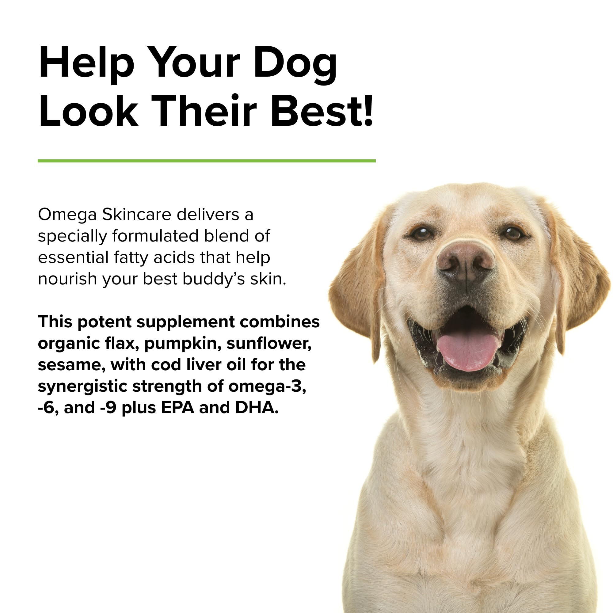Foto 5 pulgar | Suplemento Terry Naturally Animal Health Omega Skincare 240 Ml - Venta Internacional.