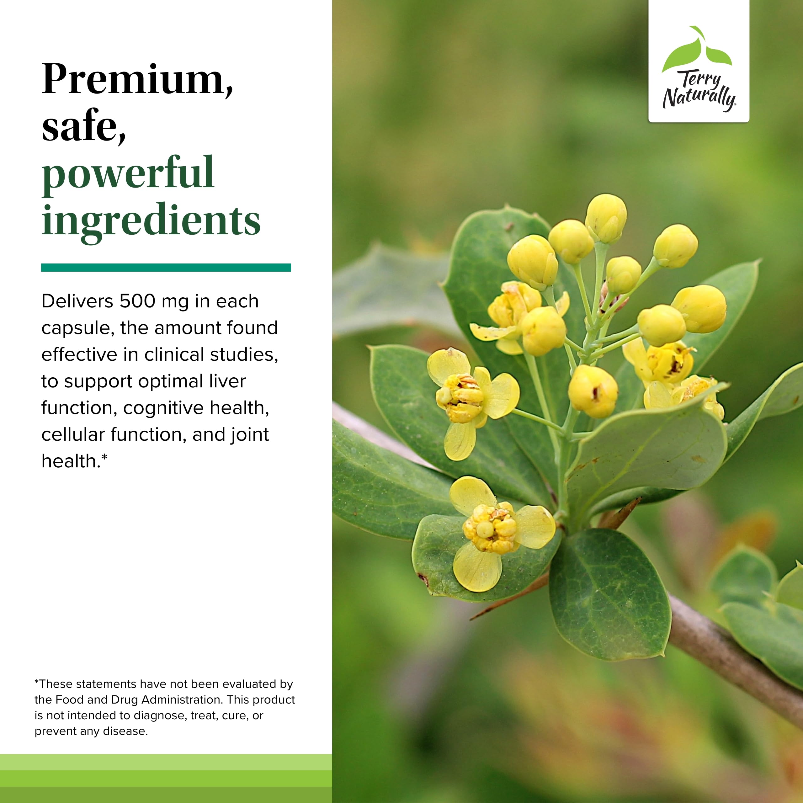 Foto 6 pulgar | Suplemento Terry Naturally Berberine 500 Mg 60 Cápsulas X2 - Venta Internacional.