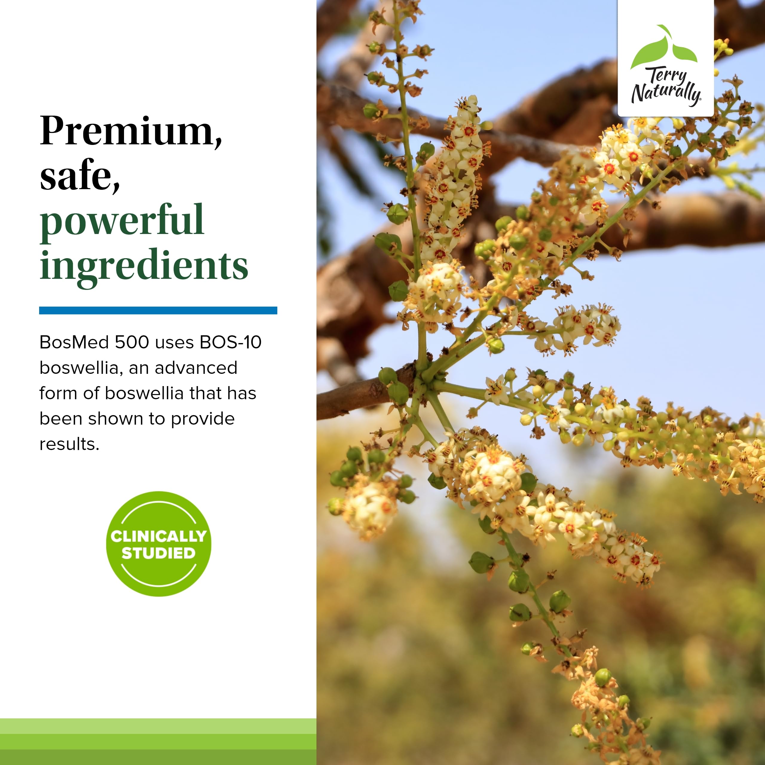 Foto 5 | Suplemento Terry Naturally Bosmed 500 Extra Strength X120 - Venta Internacional.