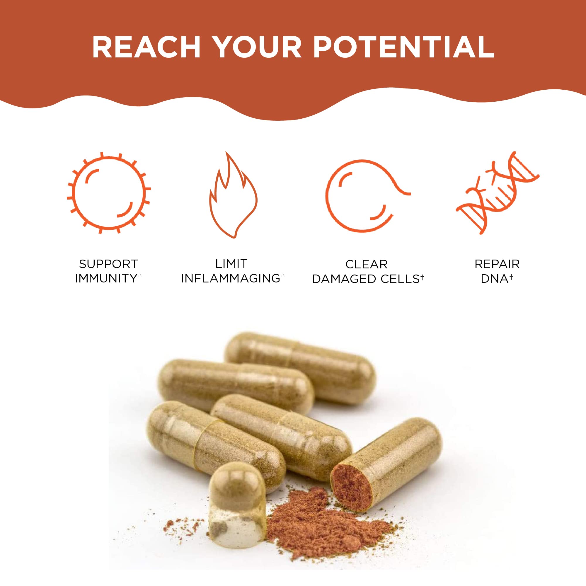 Foto 4 pulgar | Suplemento Healthycell Antienvejecimiento Dna Repair Vegan Ac-11 - Venta Internacional.