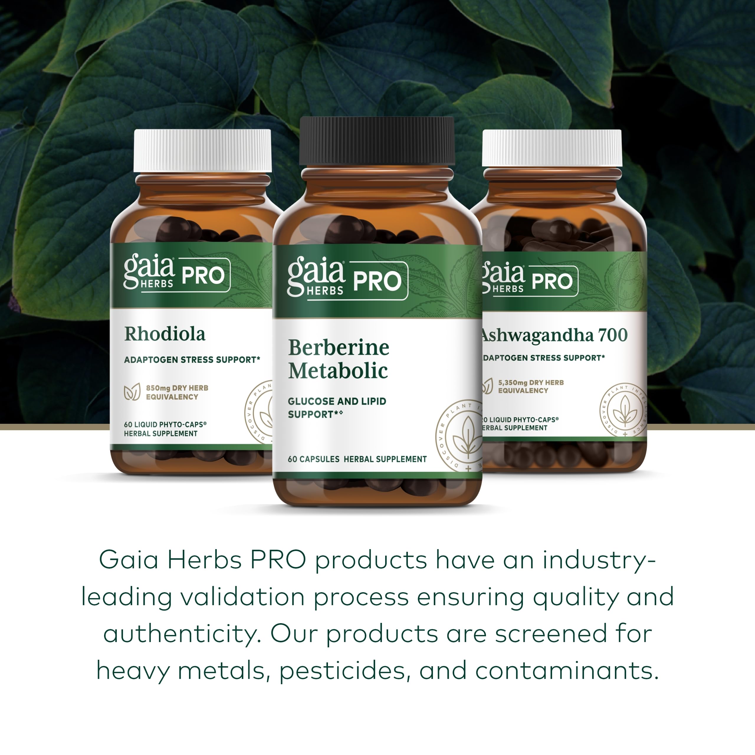 Foto 7 pulgar | Suplemento Gaia Herbs Pro Berberine Metabolic 60 Cápsulas - Venta Internacional.