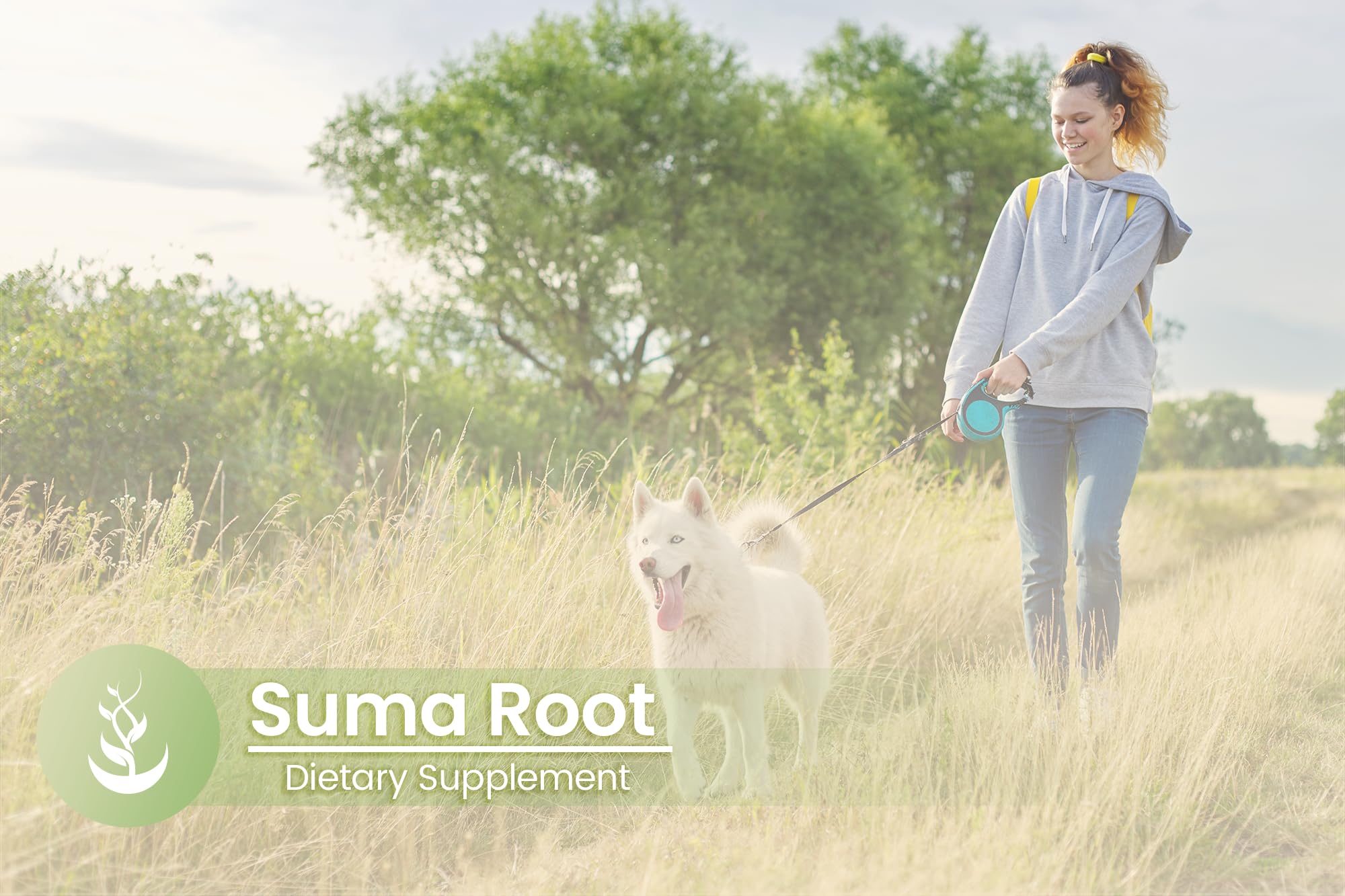 Foto 6 pulgar | Suplemento Herbario Con Ingredientes Puros Y Originales Suma Root 100 Cápsulas - Venta Internacional.