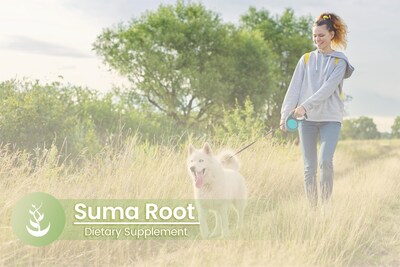Foto 5 | Suplemento Herbario Con Ingredientes Puros Y Originales Suma Root 100 Cápsulas - Venta Internacional.
