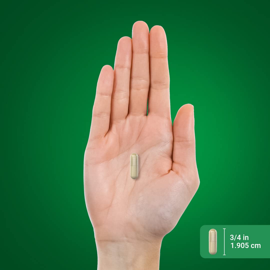 Foto 8 pulgar | Suplemento De Extracto De Lúpulo Piping Rock 700 Mg 180 Cápsulas - Venta Internacional.