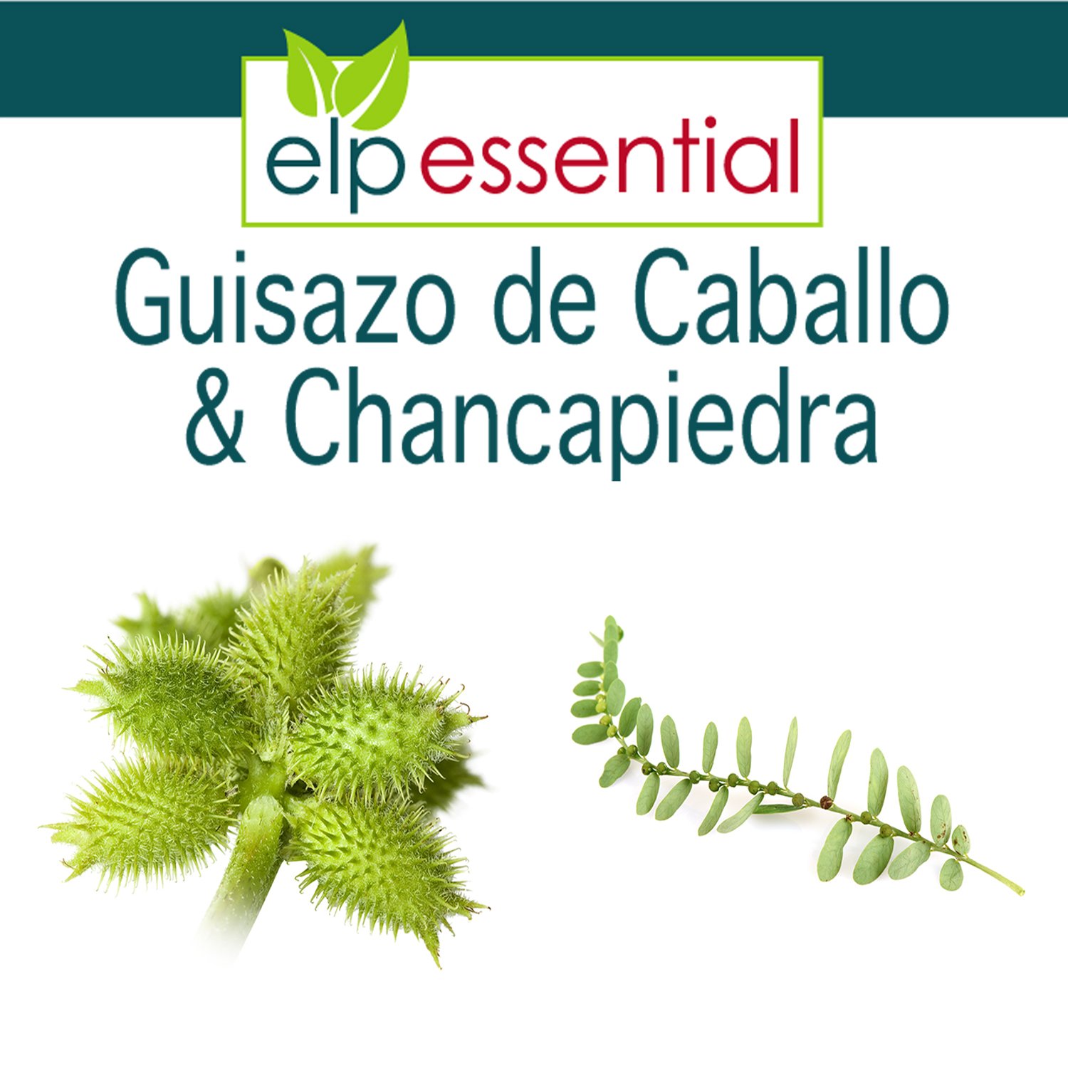 Foto 4 pulgar | Suplemento Elp Essential Guisazo De Caballo Y Chancapiedra - Venta Internacional.