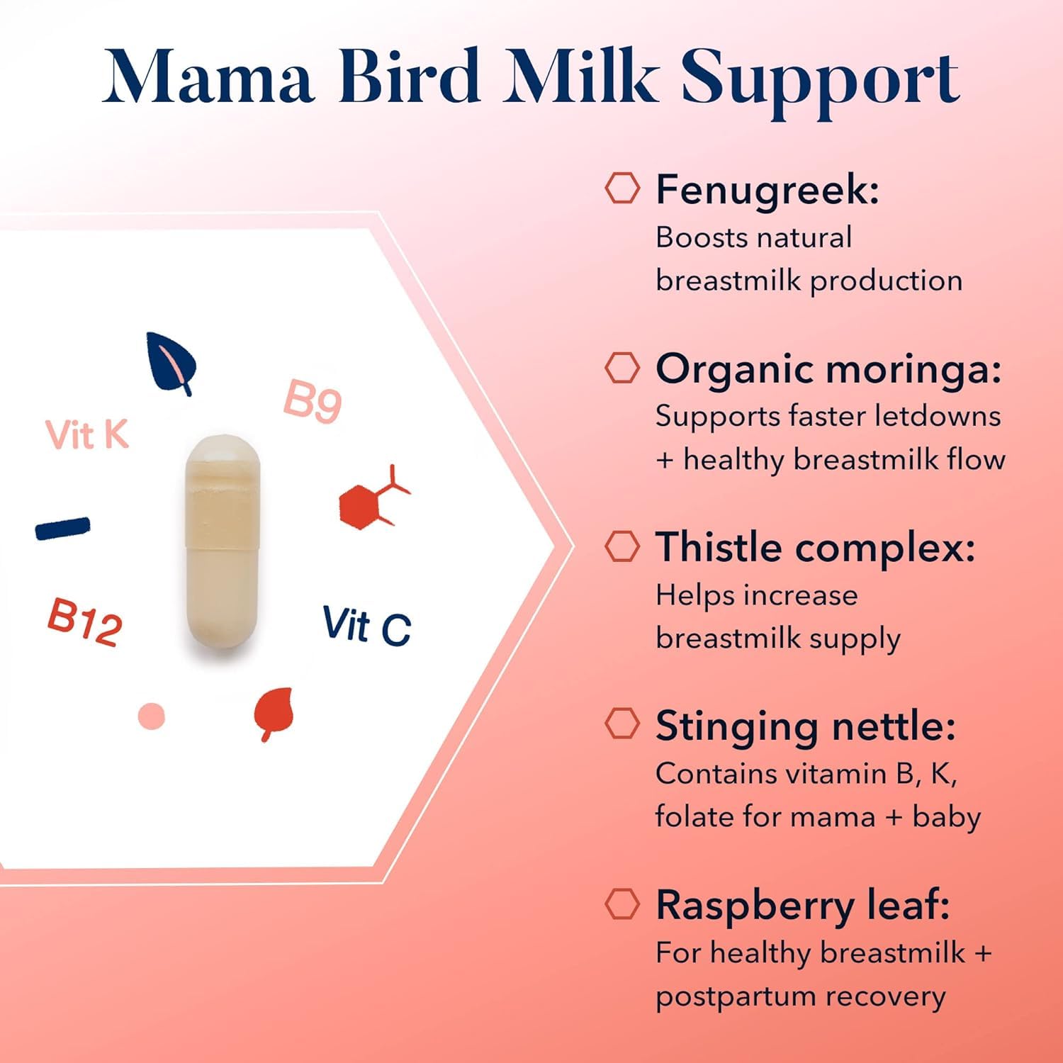 Foto 4 | Suplemento De Lactancia Best Nest Wellness Mama Bird 60 Cápsulas - Venta Internacional.