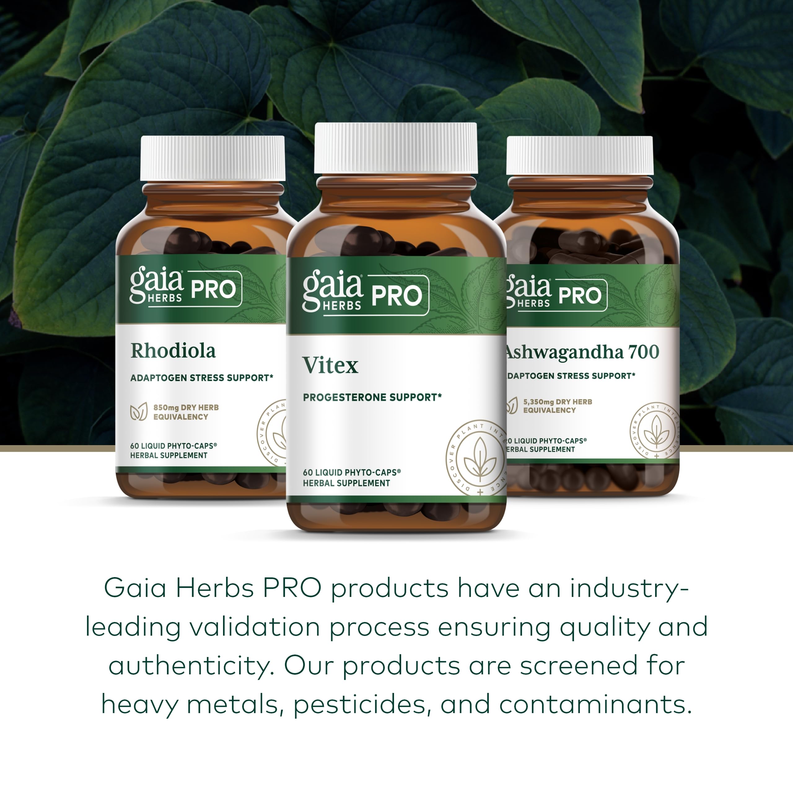 Foto 7 pulgar | El Suplemento Gaia Herbs Pro Vitex Apoya El Ciclo Menstrual - Venta Internacional.